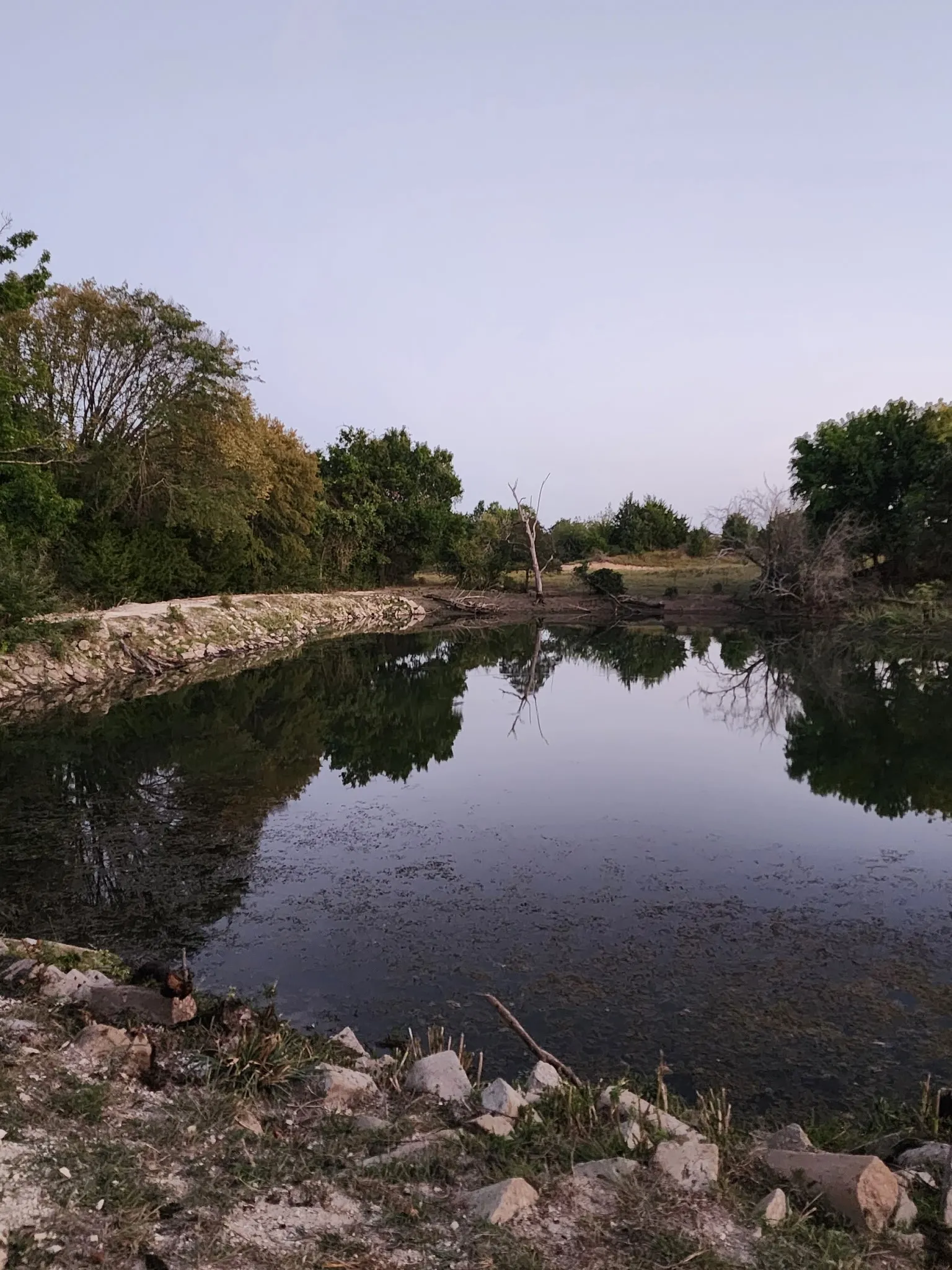 Natural water feature with surrounding trees and vegetation