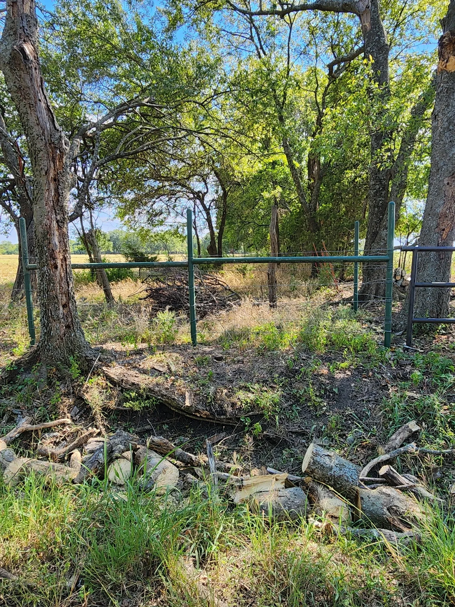 Unimproved Land For Sale in Fannin County , 2126 County Road 3035, Bonham, Texas 75418, 0, 0, Garage spaces, 0 Sqft, built in 0, mls#21364072, Real Estate Agent in Bonham, Homes For Sale in Fannin county, Homes For Sale in Bonham, Realtor in Bonham Texas, Real Estate Brokerage Independent Realty Texas, Luminita Cordes Realtor