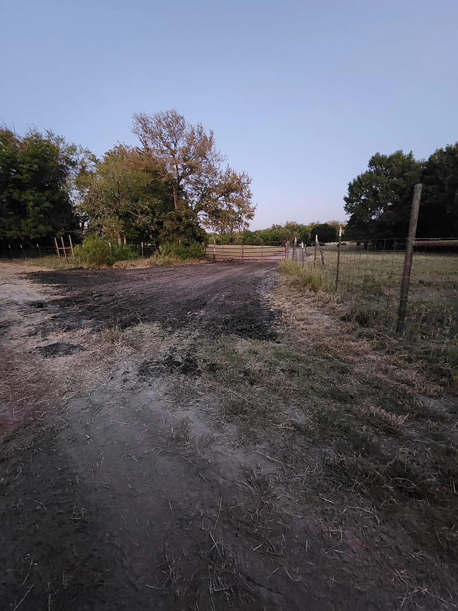 Unimproved Land For Sale in Fannin County , 2126 County Road 3035, Bonham, Texas 75418, 0, 0, Garage spaces, 0 Sqft, built in 0, mls#21364072, Real Estate Agent in Bonham, Homes For Sale in Fannin county, Homes For Sale in Bonham, Realtor in Bonham Texas, Real Estate Brokerage Independent Realty Texas, Luminita Cordes Realtor