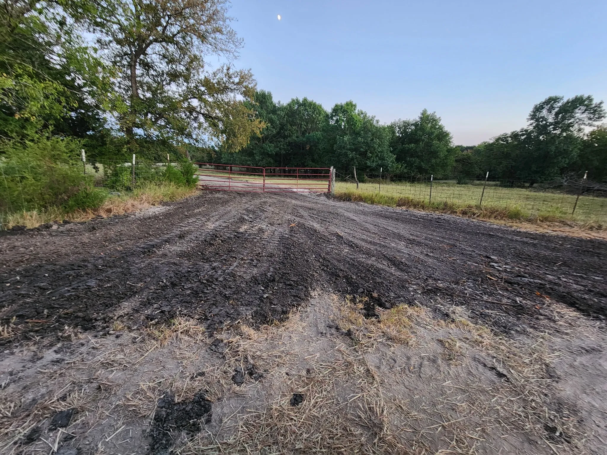 Unimproved Land For Sale in Fannin County , 2126 County Road 3035, Bonham, Texas 75418, 0, 0, Garage spaces, 0 Sqft, built in 0, mls#21364072, Real Estate Agent in Bonham, Homes For Sale in Fannin county, Homes For Sale in Bonham, Realtor in Bonham Texas, Real Estate Brokerage Independent Realty Texas, Luminita Cordes Realtor