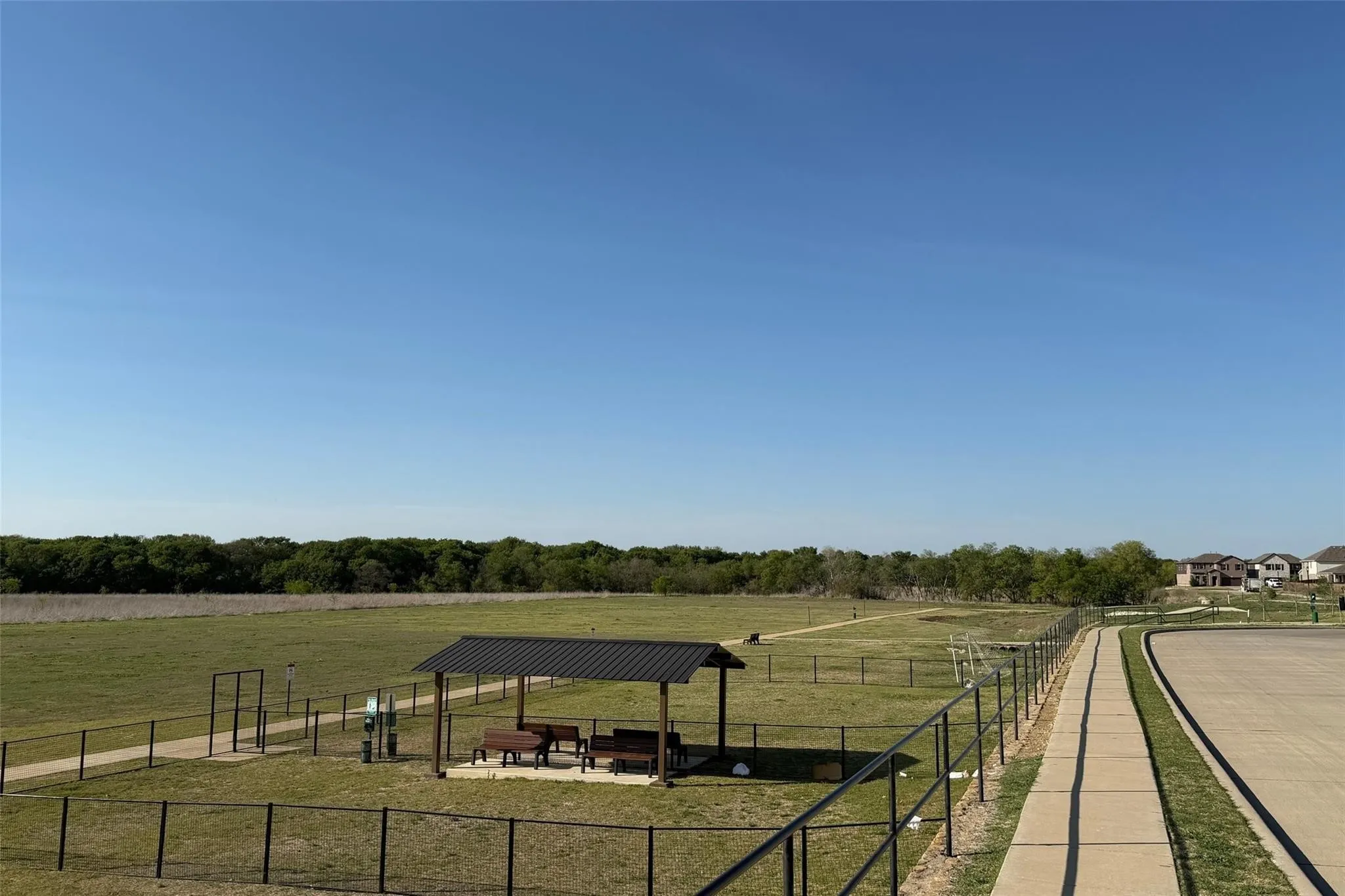 Dog Park