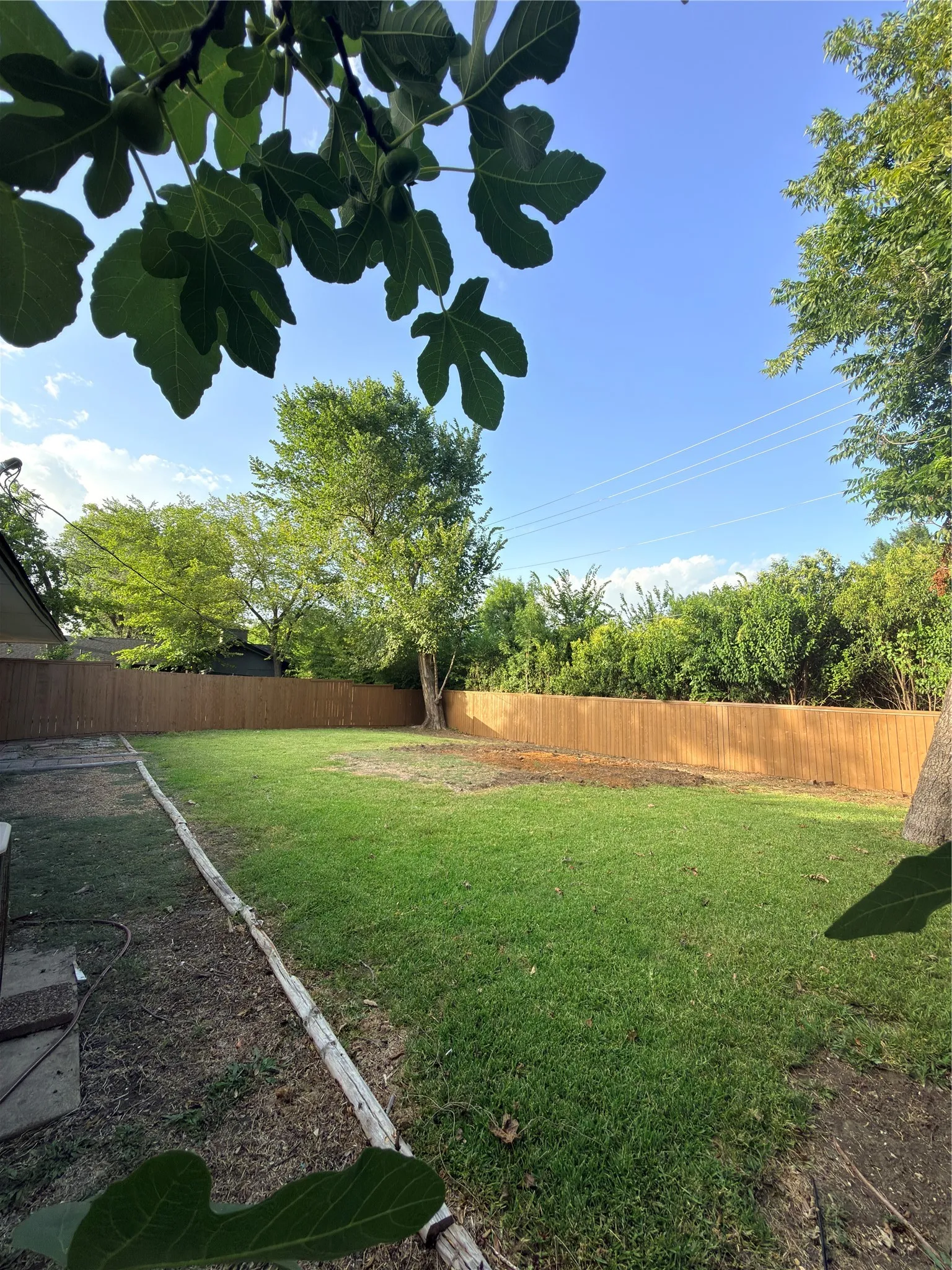 Expansive fenced backyard featuring a manicured lawn and mature trees