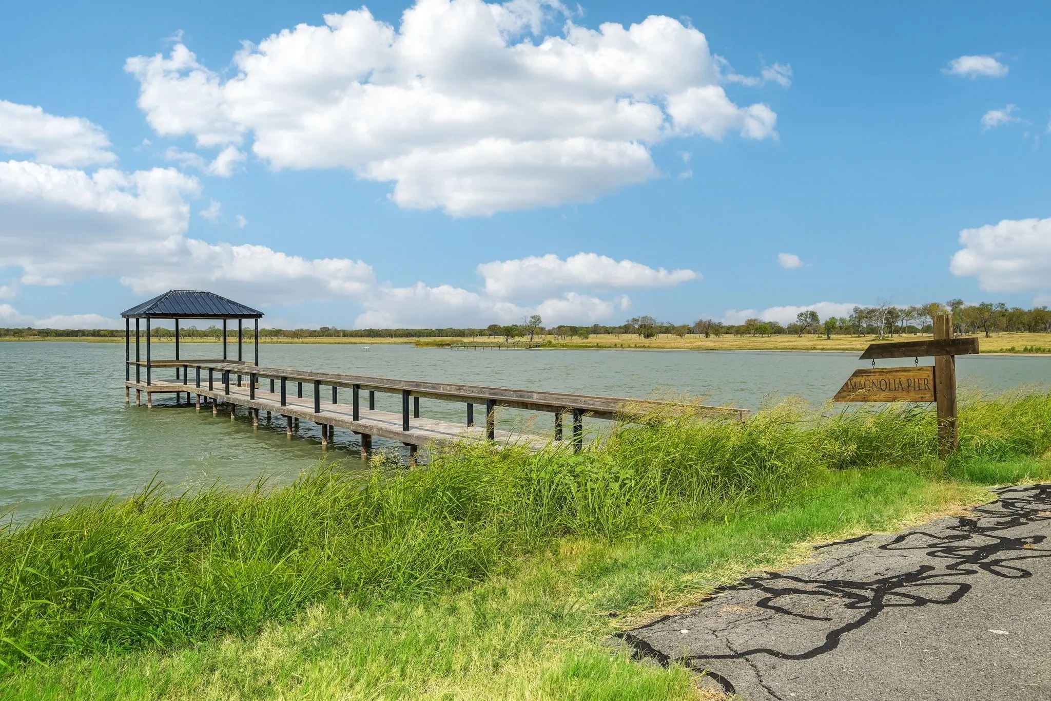 Unimproved Land For Sale in Navarro County , Lot50 Magnolia Drive, Corsicana, Texas 75110, 0, 0, Garage spaces, 0 Sqft, built in 0, mls#21363478, Real Estate Agent in Corsicana, Homes For Sale in Navarro county, Homes For Sale in Corsicana, Realtor in Corsicana Texas, Real Estate Brokerage Independent Realty Texas, Luminita Cordes Realtor