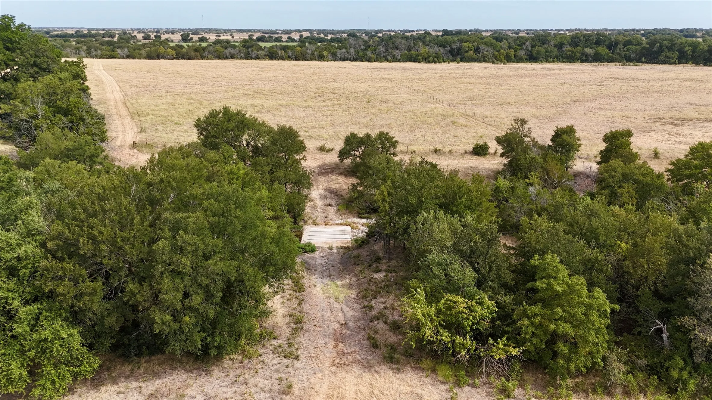 Expansive land parcel featuring mature trees, open fields, and a natural landscape