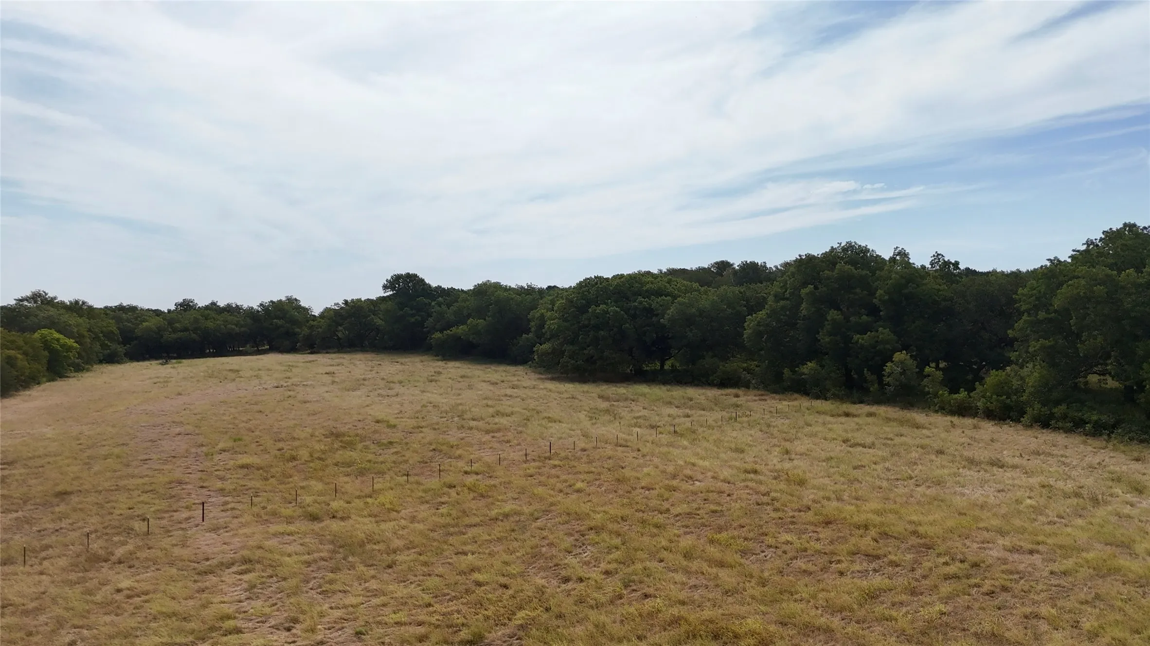 Expansive open field bordered by dense mature trees
