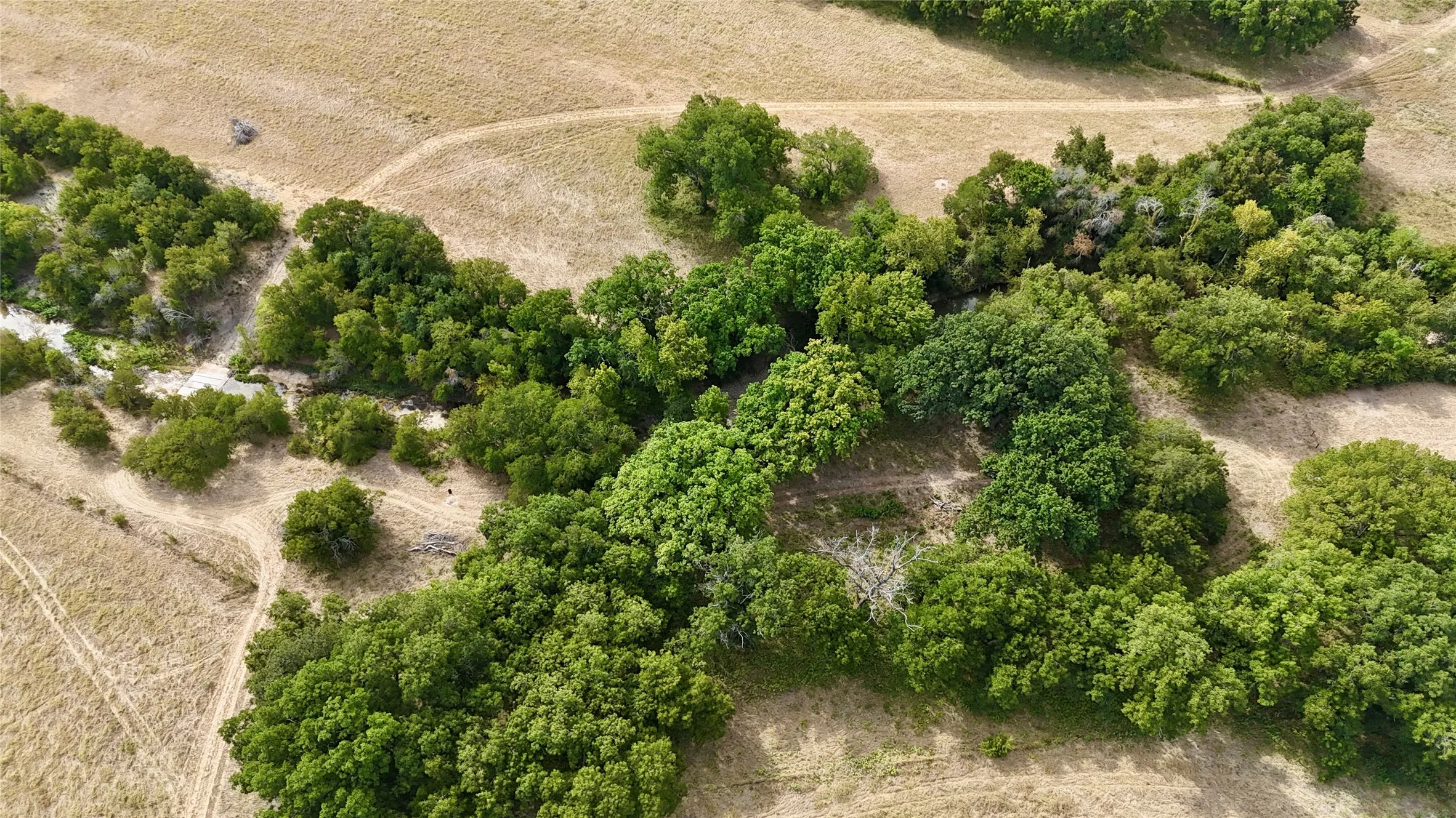 Expansive natural terrain featuring mature trees, a meandering stream, and natural pathways