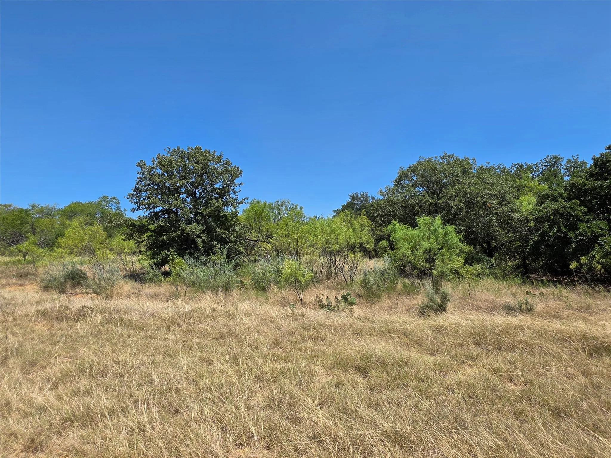 Ranch For Sale in Comanche County , 168 Highway 587, De Leon, Texas 76444, 0, 0, Garage spaces, 0 Sqft, built in 2002, Price $774,685, mls#21364172, Real Estate Agent in De Leon, Homes For Sale in Comanche county, Homes For Sale in De Leon, Realtor in De Leon Texas, Real Estate Brokerage Independent Realty Texas, Luminita Cordes Realtor