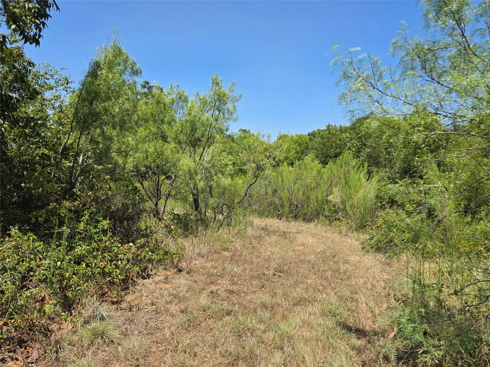 Ranch For Sale in Comanche County , 168 Highway 587, De Leon, Texas 76444, 0, 0, Garage spaces, 0 Sqft, built in 2002, Price $774,685, mls#21364172, Real Estate Agent in De Leon, Homes For Sale in Comanche county, Homes For Sale in De Leon, Realtor in De Leon Texas, Real Estate Brokerage Independent Realty Texas, Luminita Cordes Realtor