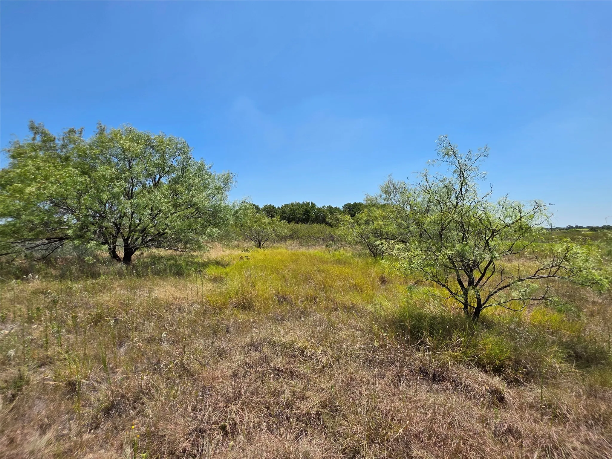 Ranch For Sale in Comanche County , 168 Highway 587, De Leon, Texas 76444, 0, 0, Garage spaces, 0 Sqft, built in 2002, Price $774,685, mls#21364172, Real Estate Agent in De Leon, Homes For Sale in Comanche county, Homes For Sale in De Leon, Realtor in De Leon Texas, Real Estate Brokerage Independent Realty Texas, Luminita Cordes Realtor