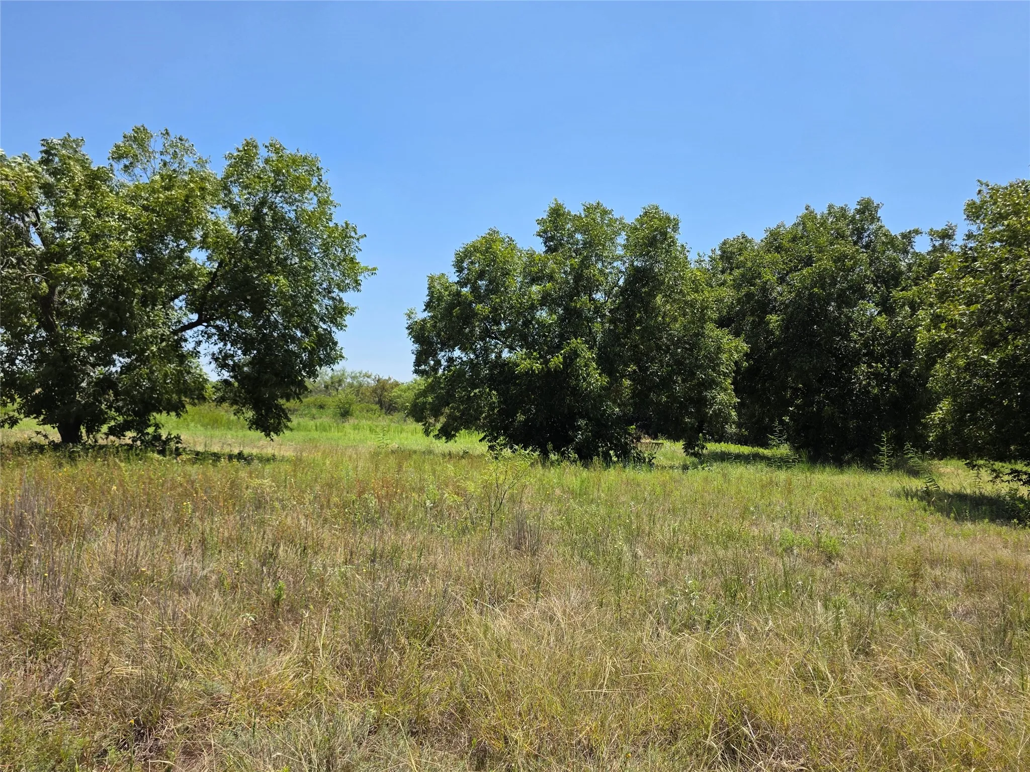 Ranch For Sale in Comanche County , 168 Highway 587, De Leon, Texas 76444, 0, 0, Garage spaces, 0 Sqft, built in 2002, Price $774,685, mls#21364172, Real Estate Agent in De Leon, Homes For Sale in Comanche county, Homes For Sale in De Leon, Realtor in De Leon Texas, Real Estate Brokerage Independent Realty Texas, Luminita Cordes Realtor