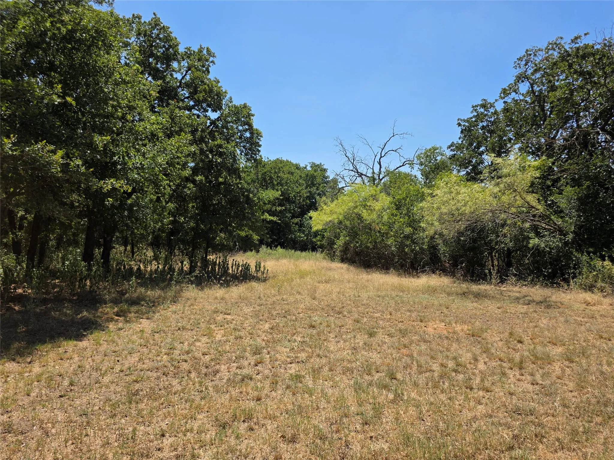 Ranch For Sale in Comanche County , 168 Highway 587, De Leon, Texas 76444, 0, 0, Garage spaces, 0 Sqft, built in 2002, Price $774,685, mls#21364172, Real Estate Agent in De Leon, Homes For Sale in Comanche county, Homes For Sale in De Leon, Realtor in De Leon Texas, Real Estate Brokerage Independent Realty Texas, Luminita Cordes Realtor