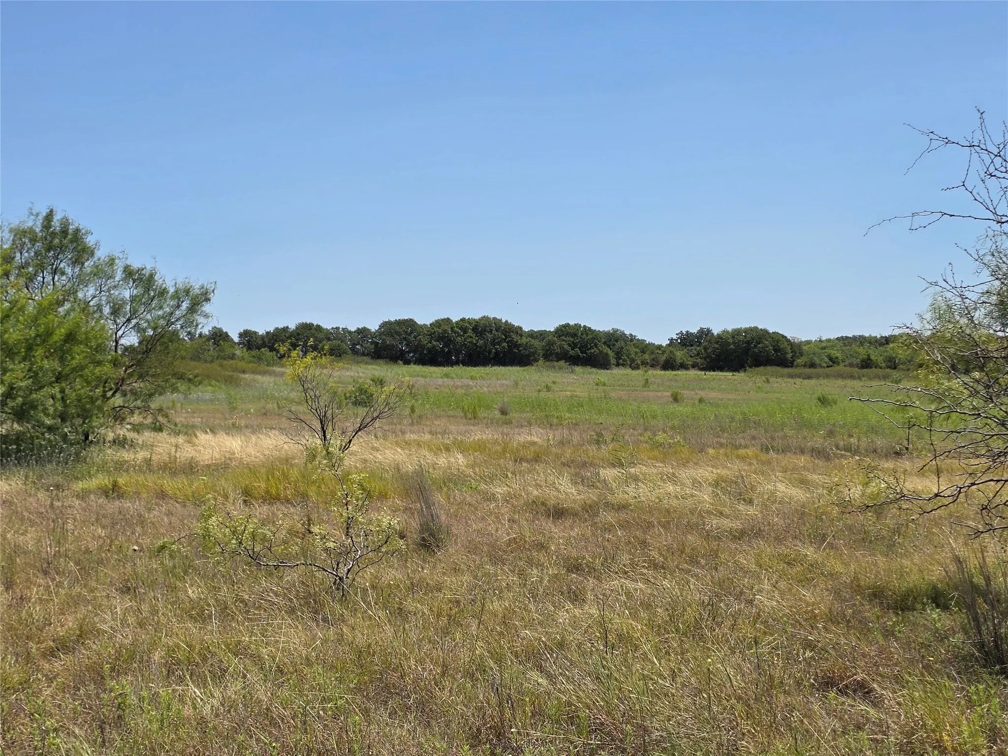 Ranch For Sale in Comanche County , 168 Highway 587, De Leon, Texas 76444, 0, 0, Garage spaces, 0 Sqft, built in 2002, Price $774,685, mls#21364172, Real Estate Agent in De Leon, Homes For Sale in Comanche county, Homes For Sale in De Leon, Realtor in De Leon Texas, Real Estate Brokerage Independent Realty Texas, Luminita Cordes Realtor