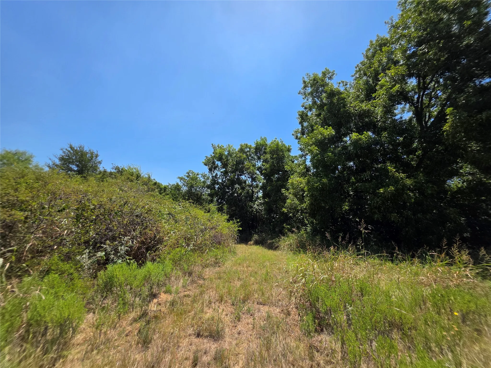 Ranch For Sale in Comanche County , 168 Highway 587, De Leon, Texas 76444, 0, 0, Garage spaces, 0 Sqft, built in 2002, Price $774,685, mls#21364172, Real Estate Agent in De Leon, Homes For Sale in Comanche county, Homes For Sale in De Leon, Realtor in De Leon Texas, Real Estate Brokerage Independent Realty Texas, Luminita Cordes Realtor
