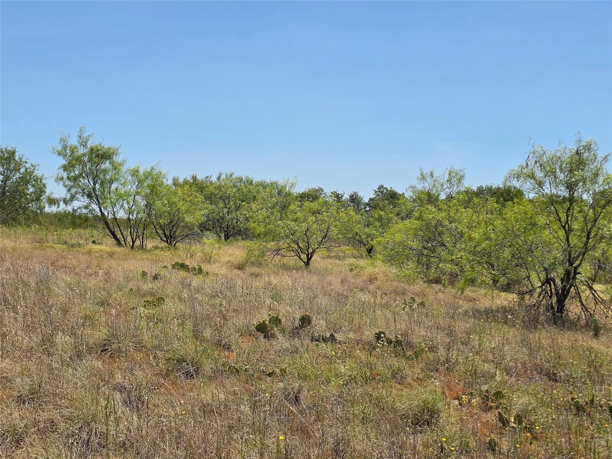 Ranch For Sale in Comanche County , 168 Highway 587, De Leon, Texas 76444, 0, 0, Garage spaces, 0 Sqft, built in 2002, Price $774,685, mls#21364172, Real Estate Agent in De Leon, Homes For Sale in Comanche county, Homes For Sale in De Leon, Realtor in De Leon Texas, Real Estate Brokerage Independent Realty Texas, Luminita Cordes Realtor