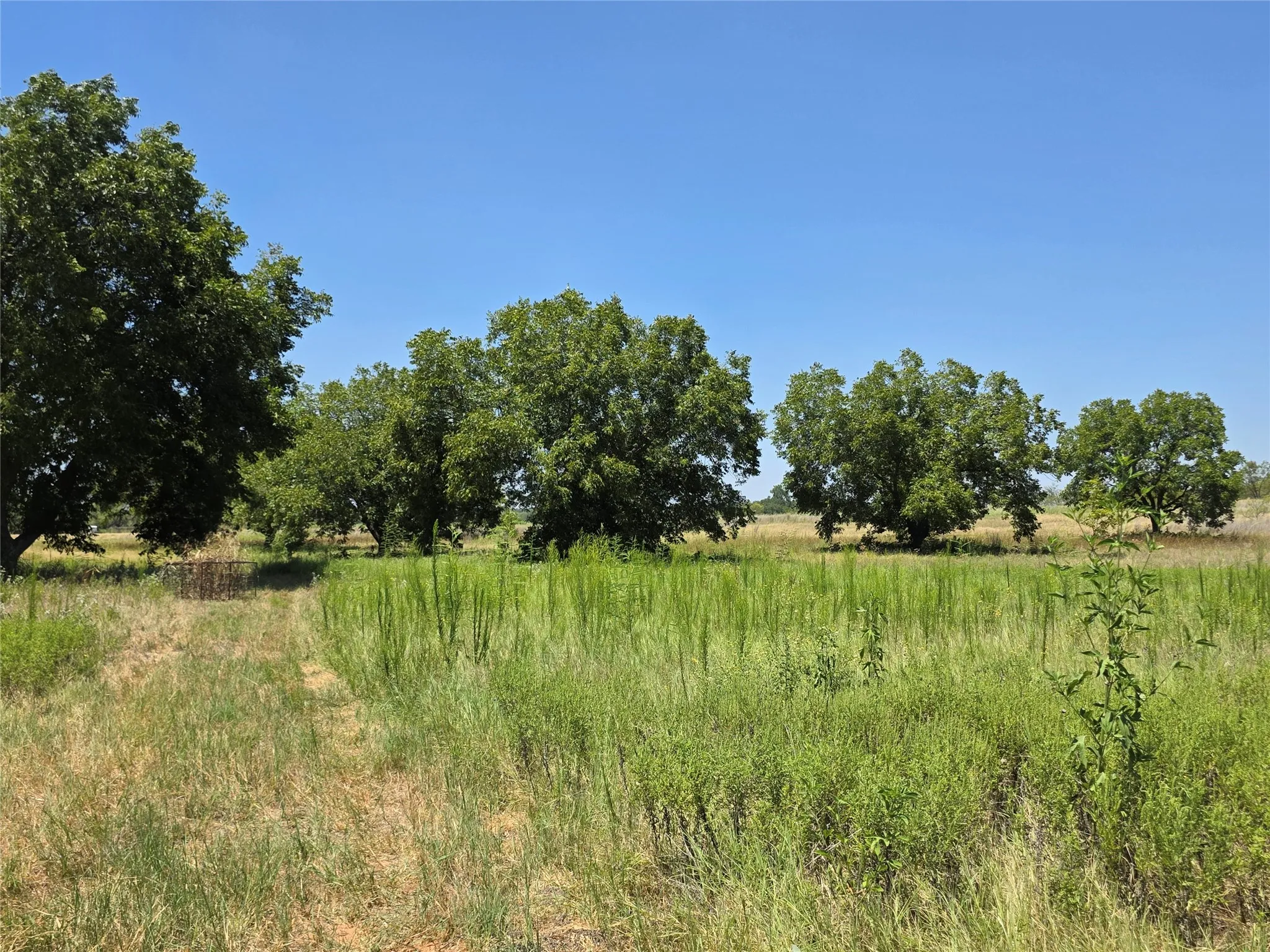 Ranch For Sale in Comanche County , 168 Highway 587, De Leon, Texas 76444, 0, 0, Garage spaces, 0 Sqft, built in 2002, Price $774,685, mls#21364172, Real Estate Agent in De Leon, Homes For Sale in Comanche county, Homes For Sale in De Leon, Realtor in De Leon Texas, Real Estate Brokerage Independent Realty Texas, Luminita Cordes Realtor