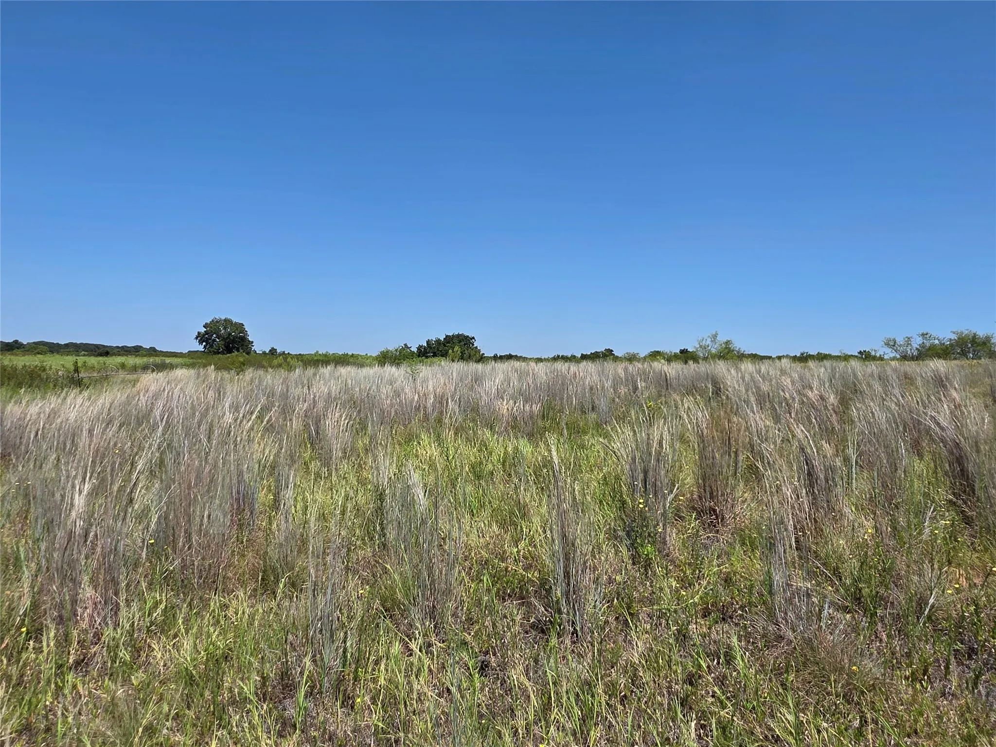 Ranch For Sale in Comanche County , 168 Highway 587, De Leon, Texas 76444, 0, 0, Garage spaces, 0 Sqft, built in 2002, Price $774,685, mls#21364172, Real Estate Agent in De Leon, Homes For Sale in Comanche county, Homes For Sale in De Leon, Realtor in De Leon Texas, Real Estate Brokerage Independent Realty Texas, Luminita Cordes Realtor