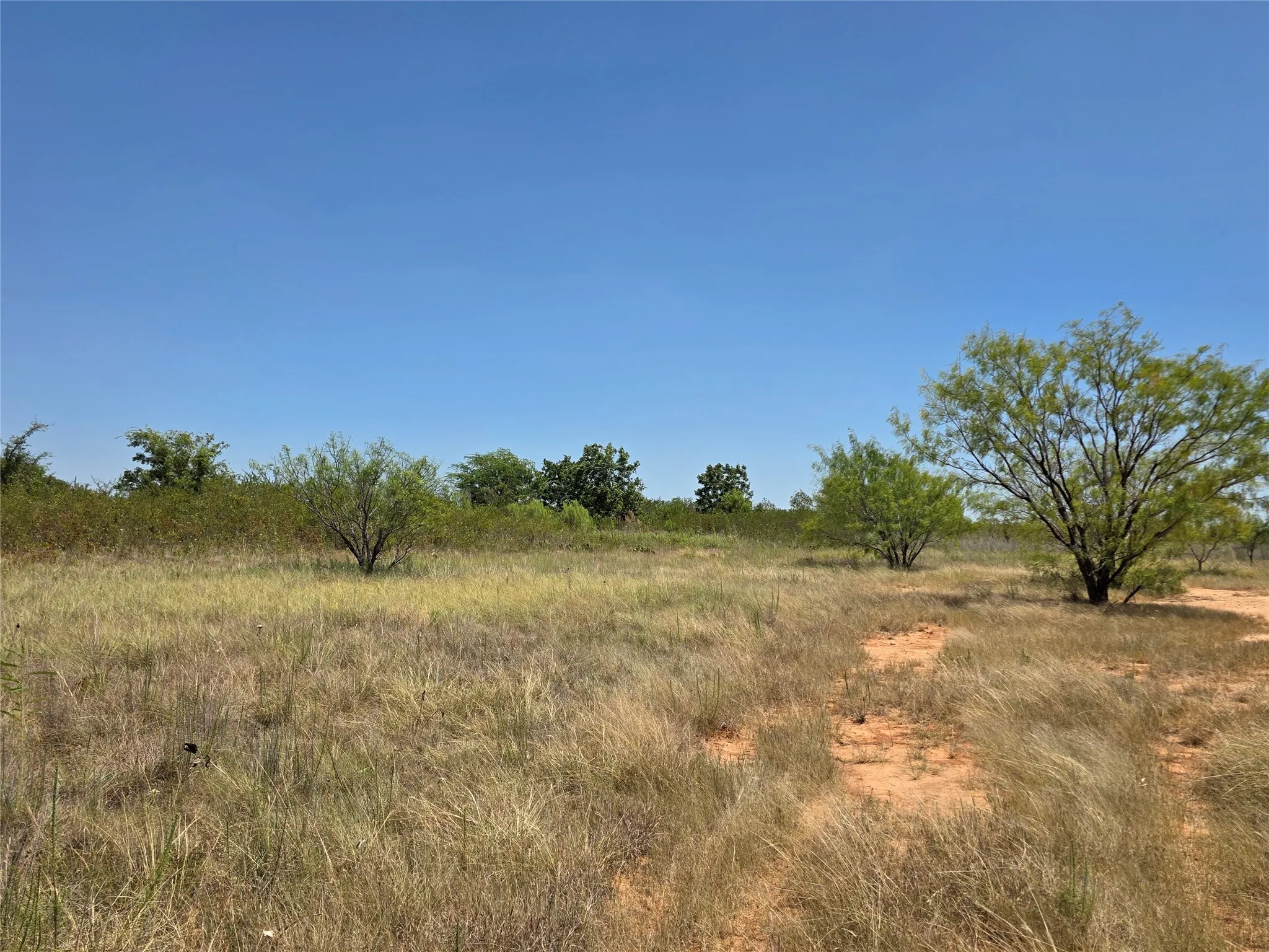 Ranch For Sale in Comanche County , 168 Highway 587, De Leon, Texas 76444, 0, 0, Garage spaces, 0 Sqft, built in 2002, Price $774,685, mls#21364172, Real Estate Agent in De Leon, Homes For Sale in Comanche county, Homes For Sale in De Leon, Realtor in De Leon Texas, Real Estate Brokerage Independent Realty Texas, Luminita Cordes Realtor