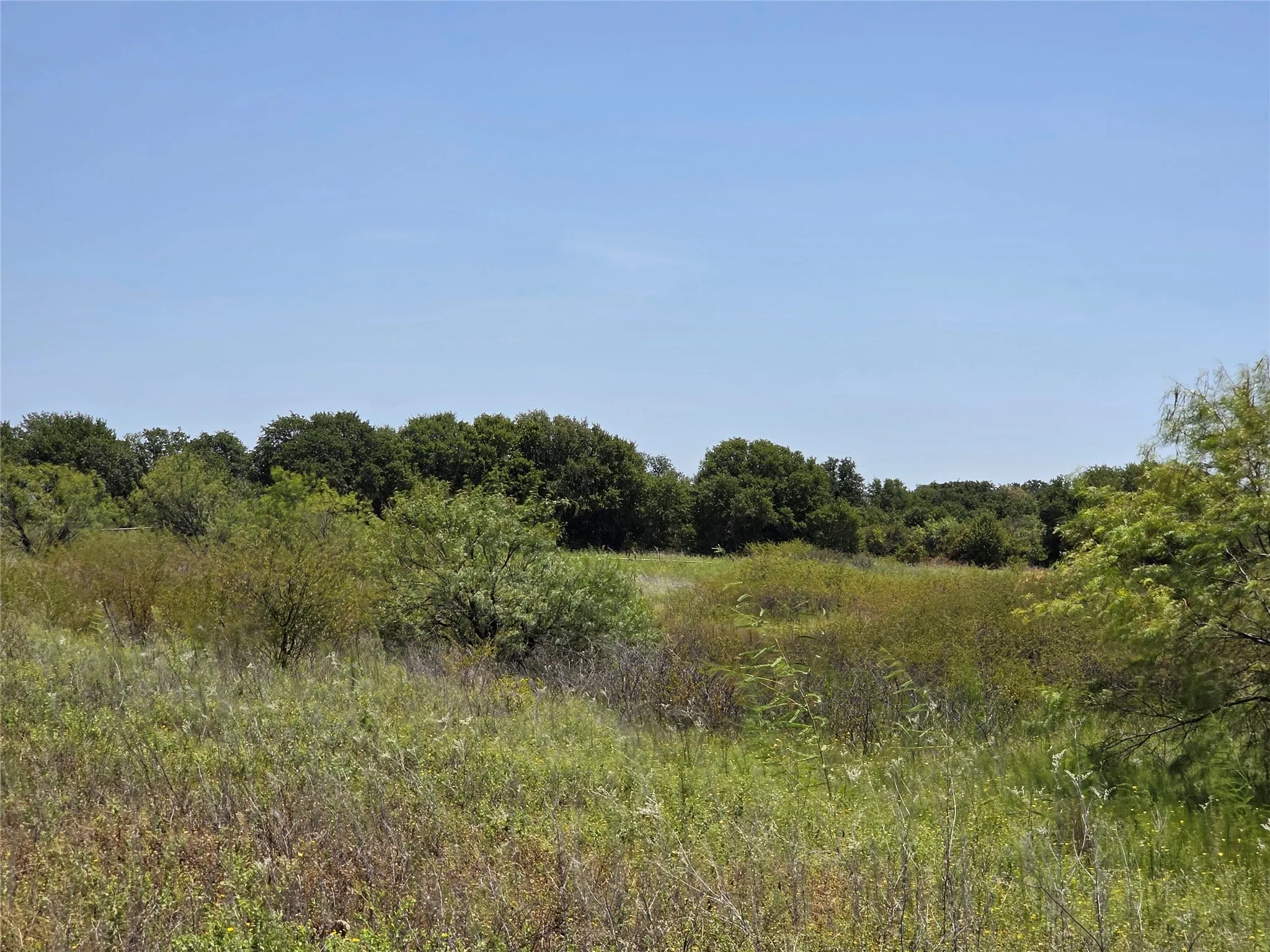 Ranch For Sale in Comanche County , 168 Highway 587, De Leon, Texas 76444, 0, 0, Garage spaces, 0 Sqft, built in 2002, Price $774,685, mls#21364172, Real Estate Agent in De Leon, Homes For Sale in Comanche county, Homes For Sale in De Leon, Realtor in De Leon Texas, Real Estate Brokerage Independent Realty Texas, Luminita Cordes Realtor