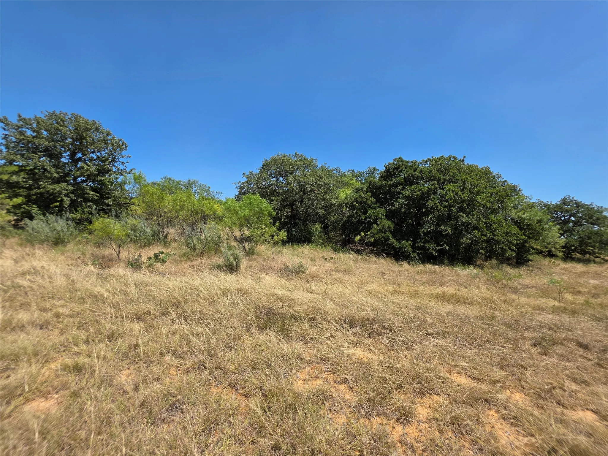 Ranch For Sale in Comanche County , 168 Highway 587, De Leon, Texas 76444, 0, 0, Garage spaces, 0 Sqft, built in 2002, Price $774,685, mls#21364172, Real Estate Agent in De Leon, Homes For Sale in Comanche county, Homes For Sale in De Leon, Realtor in De Leon Texas, Real Estate Brokerage Independent Realty Texas, Luminita Cordes Realtor