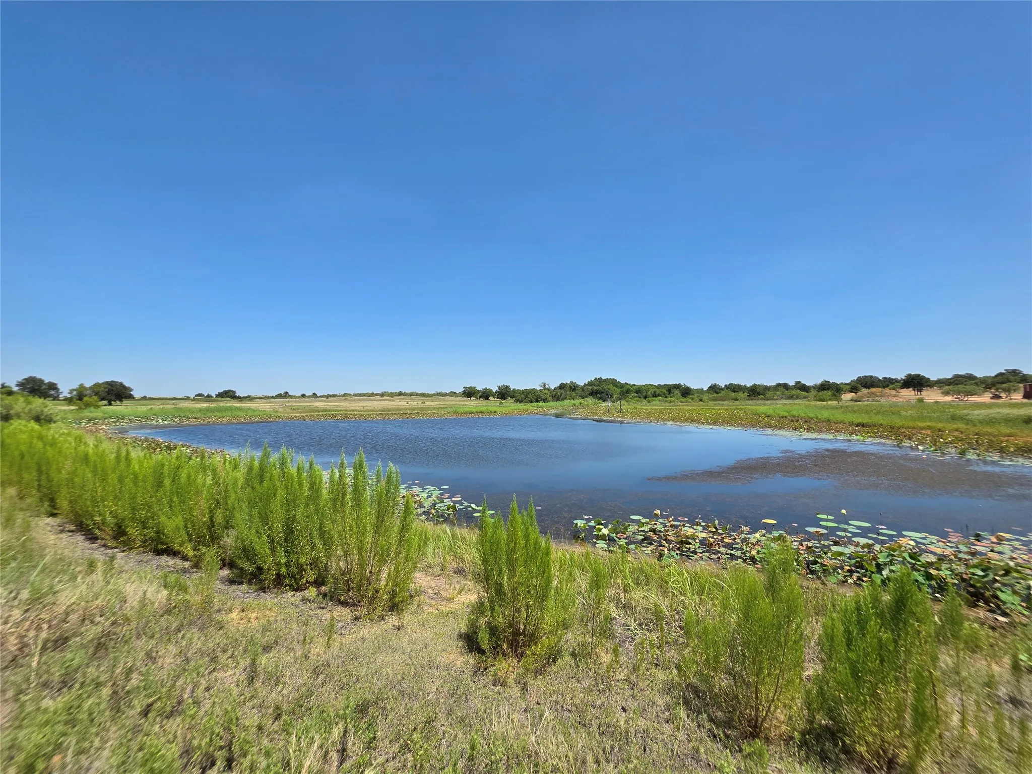 Ranch For Sale in Comanche County , 168 Highway 587, De Leon, Texas 76444, 0, 0, Garage spaces, 0 Sqft, built in 2002, Price $774,685, mls#21364172, Real Estate Agent in De Leon, Homes For Sale in Comanche county, Homes For Sale in De Leon, Realtor in De Leon Texas, Real Estate Brokerage Independent Realty Texas, Luminita Cordes Realtor