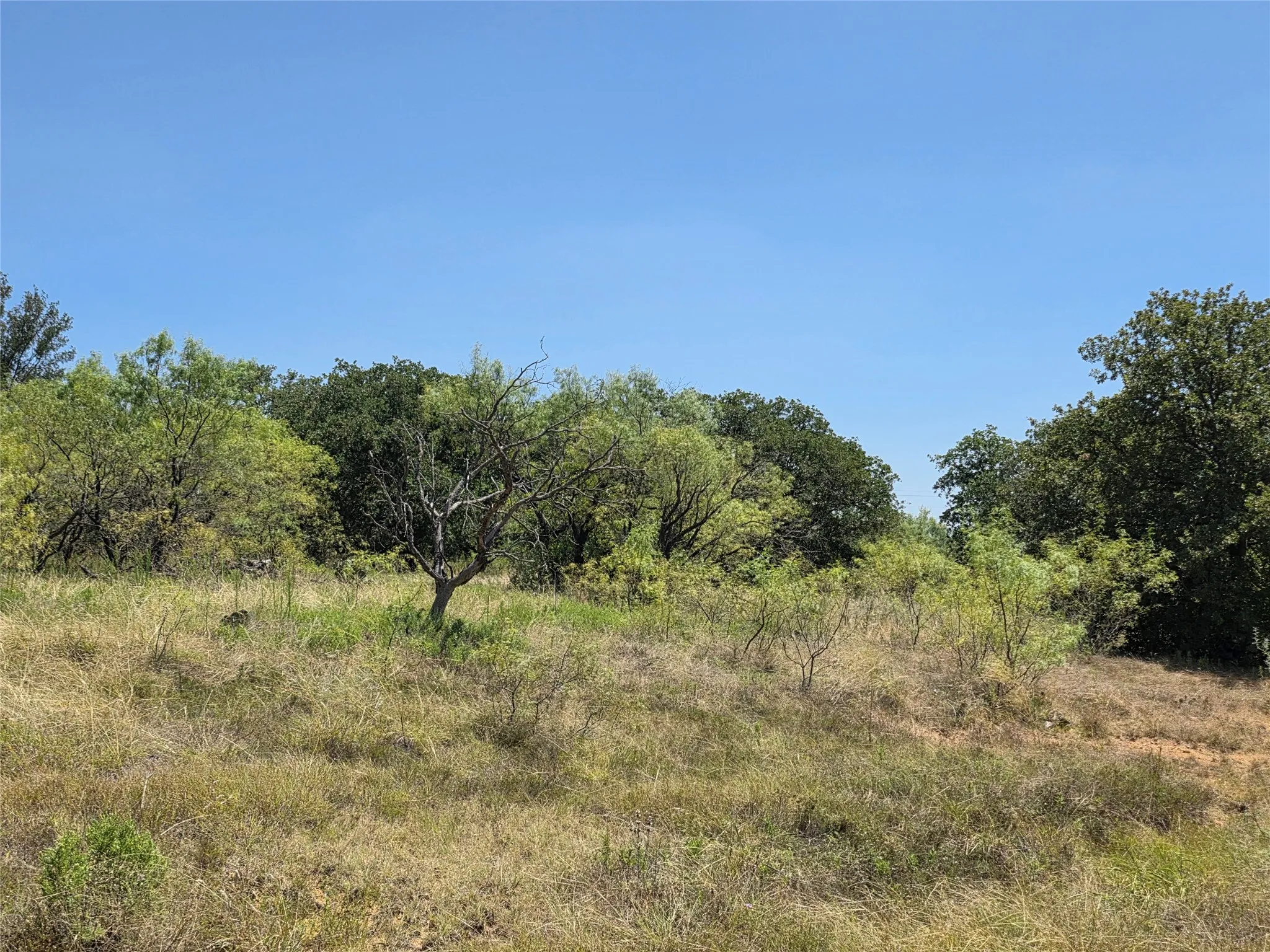 Ranch For Sale in Comanche County , 168 Highway 587, De Leon, Texas 76444, 0, 0, Garage spaces, 0 Sqft, built in 2002, Price $774,685, mls#21364172, Real Estate Agent in De Leon, Homes For Sale in Comanche county, Homes For Sale in De Leon, Realtor in De Leon Texas, Real Estate Brokerage Independent Realty Texas, Luminita Cordes Realtor