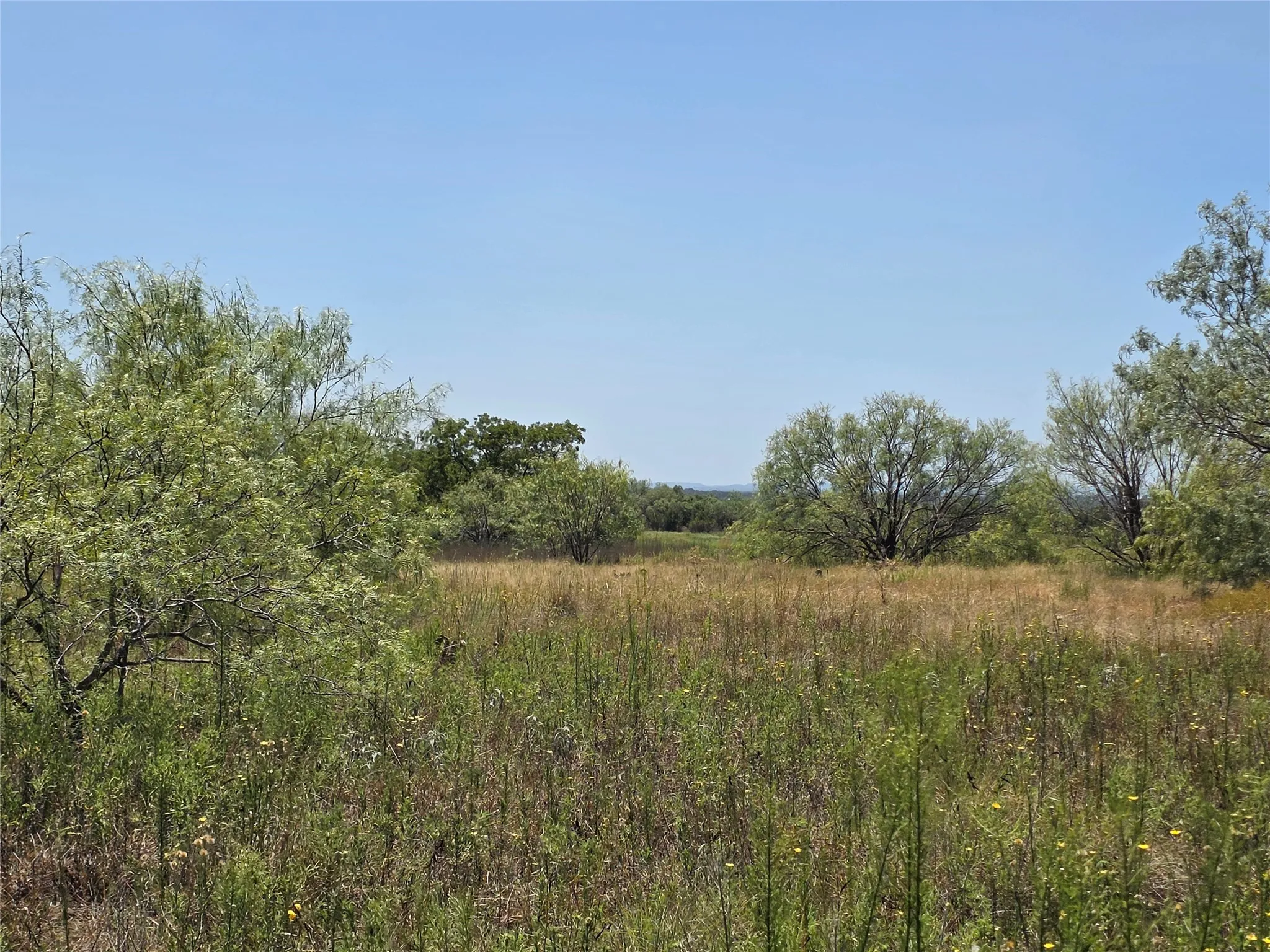 Ranch For Sale in Comanche County , 168 Highway 587, De Leon, Texas 76444, 0, 0, Garage spaces, 0 Sqft, built in 2002, Price $774,685, mls#21364172, Real Estate Agent in De Leon, Homes For Sale in Comanche county, Homes For Sale in De Leon, Realtor in De Leon Texas, Real Estate Brokerage Independent Realty Texas, Luminita Cordes Realtor