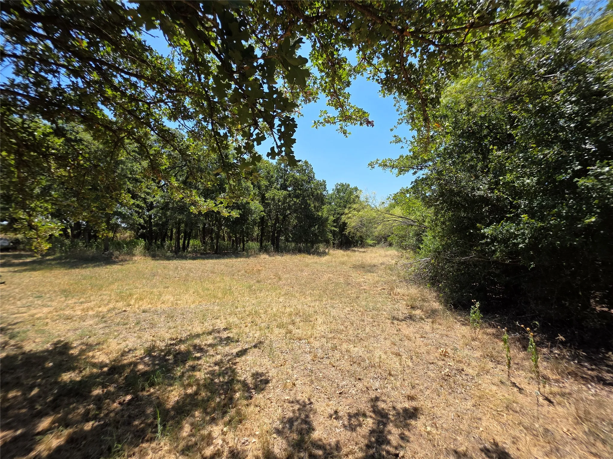 Ranch For Sale in Comanche County , 168 Highway 587, De Leon, Texas 76444, 0, 0, Garage spaces, 0 Sqft, built in 2002, Price $774,685, mls#21364172, Real Estate Agent in De Leon, Homes For Sale in Comanche county, Homes For Sale in De Leon, Realtor in De Leon Texas, Real Estate Brokerage Independent Realty Texas, Luminita Cordes Realtor