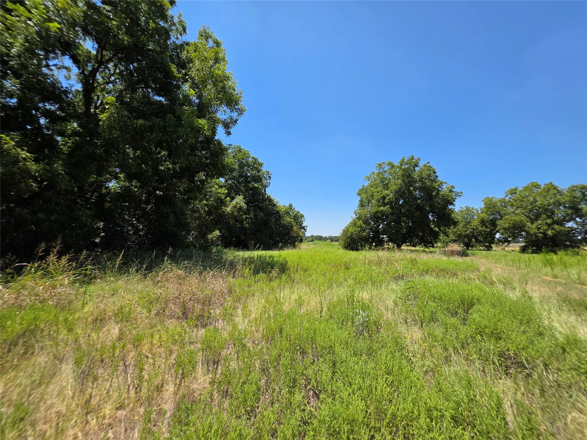 Ranch For Sale in Comanche County , 168 Highway 587, De Leon, Texas 76444, 0, 0, Garage spaces, 0 Sqft, built in 2002, Price $774,685, mls#21364172, Real Estate Agent in De Leon, Homes For Sale in Comanche county, Homes For Sale in De Leon, Realtor in De Leon Texas, Real Estate Brokerage Independent Realty Texas, Luminita Cordes Realtor