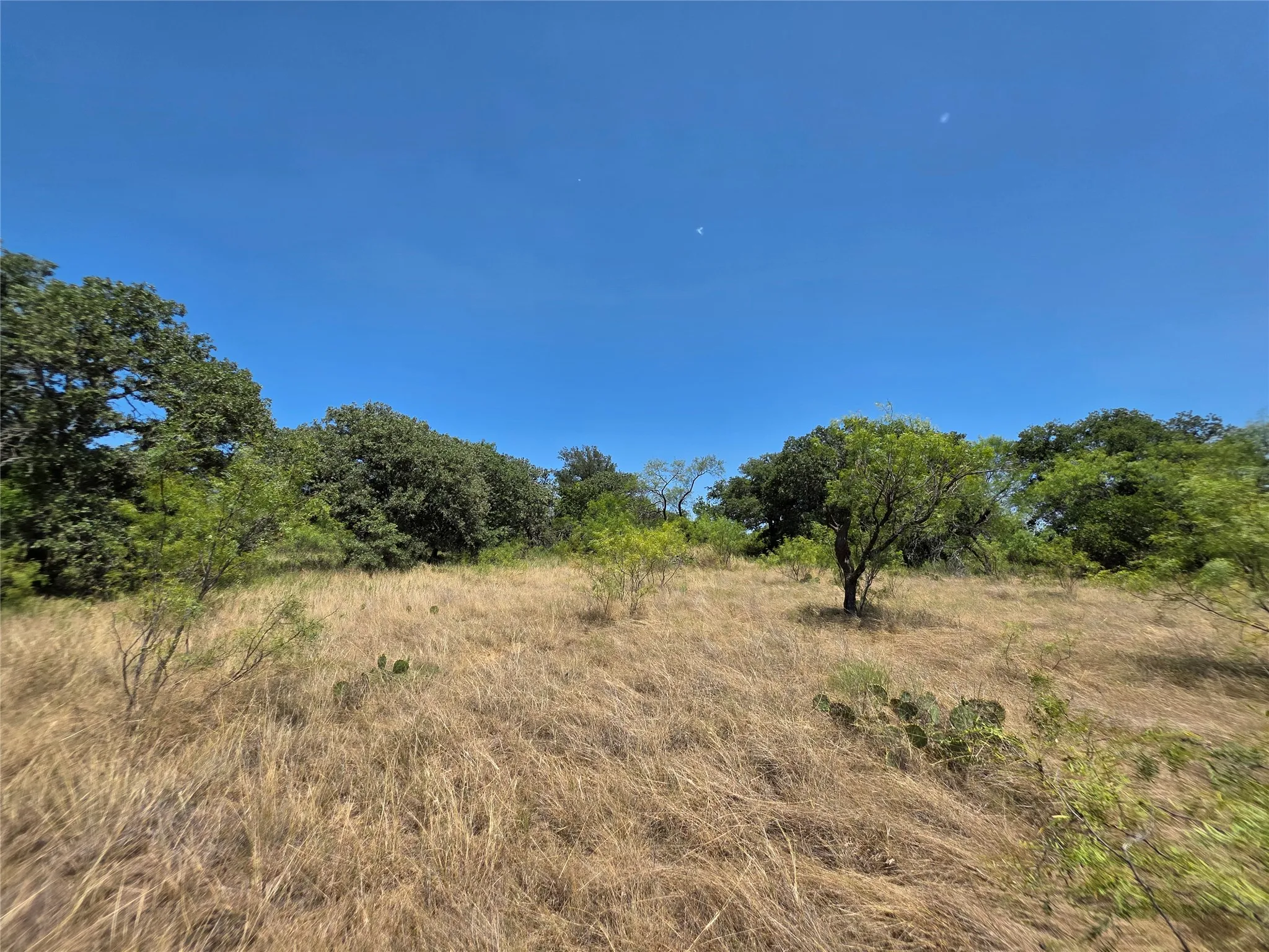 Ranch For Sale in Comanche County , 168 Highway 587, De Leon, Texas 76444, 0, 0, Garage spaces, 0 Sqft, built in 2002, Price $774,685, mls#21364172, Real Estate Agent in De Leon, Homes For Sale in Comanche county, Homes For Sale in De Leon, Realtor in De Leon Texas, Real Estate Brokerage Independent Realty Texas, Luminita Cordes Realtor
