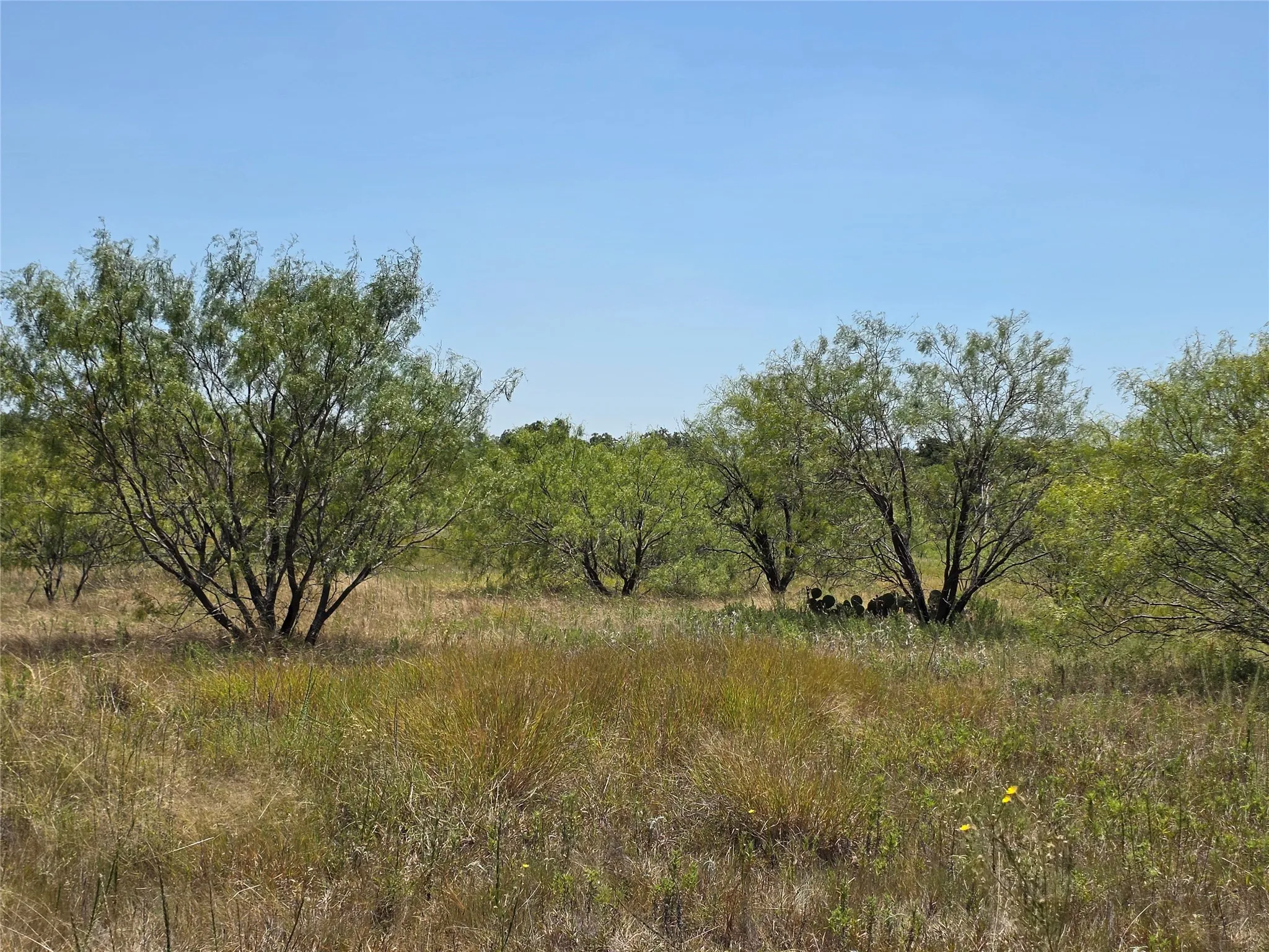 Ranch For Sale in Comanche County , 168 Highway 587, De Leon, Texas 76444, 0, 0, Garage spaces, 0 Sqft, built in 2002, Price $774,685, mls#21364172, Real Estate Agent in De Leon, Homes For Sale in Comanche county, Homes For Sale in De Leon, Realtor in De Leon Texas, Real Estate Brokerage Independent Realty Texas, Luminita Cordes Realtor