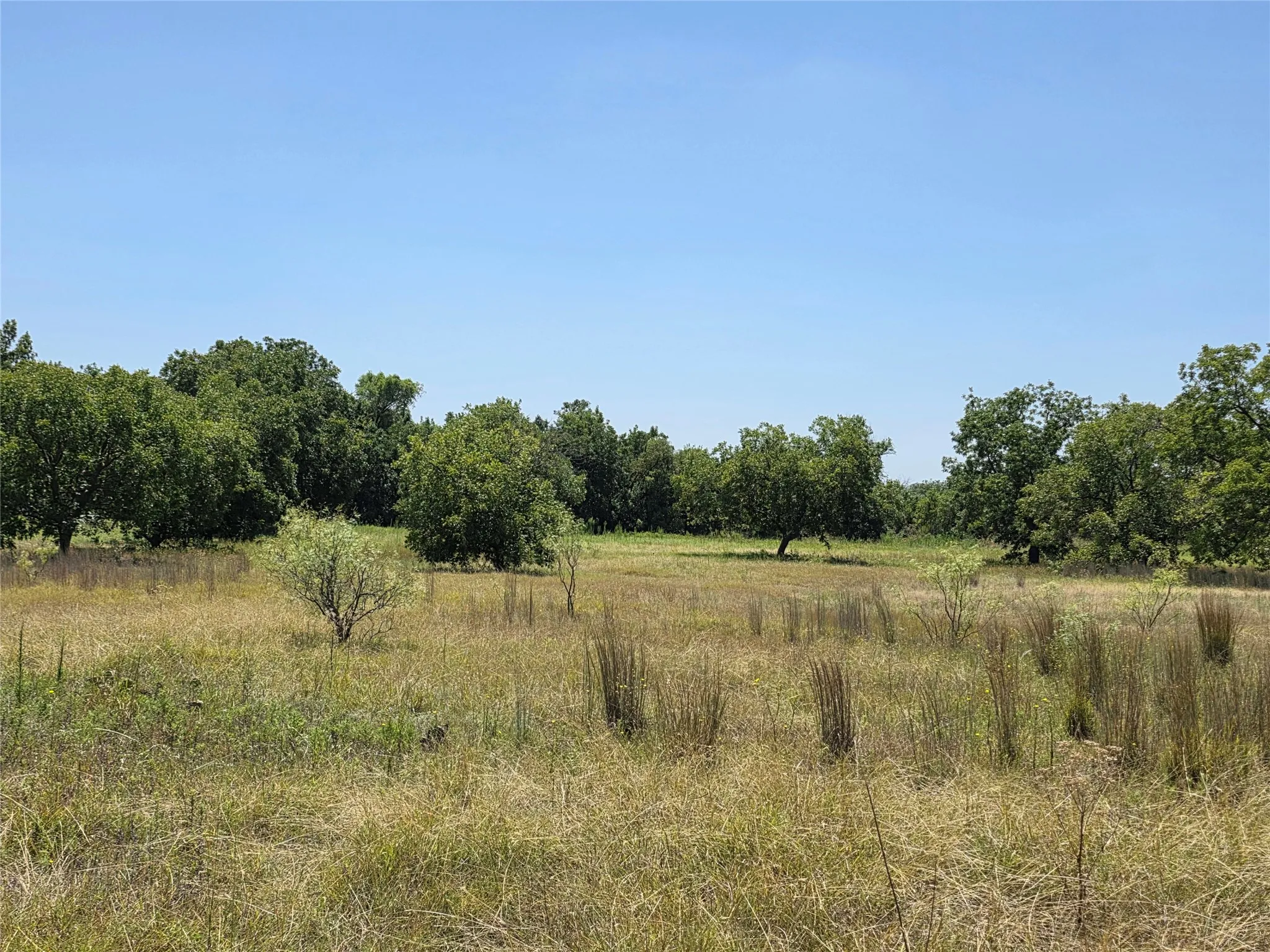 Ranch For Sale in Comanche County , 168 Highway 587, De Leon, Texas 76444, 0, 0, Garage spaces, 0 Sqft, built in 2002, Price $774,685, mls#21364172, Real Estate Agent in De Leon, Homes For Sale in Comanche county, Homes For Sale in De Leon, Realtor in De Leon Texas, Real Estate Brokerage Independent Realty Texas, Luminita Cordes Realtor
