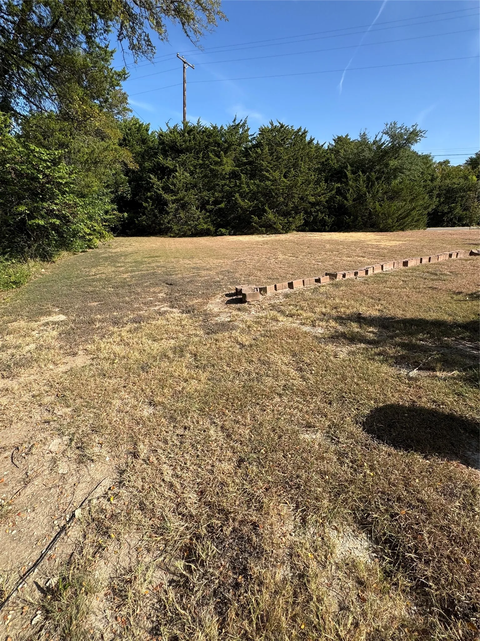 Privacy from Shiloh Road to what could be the front yard