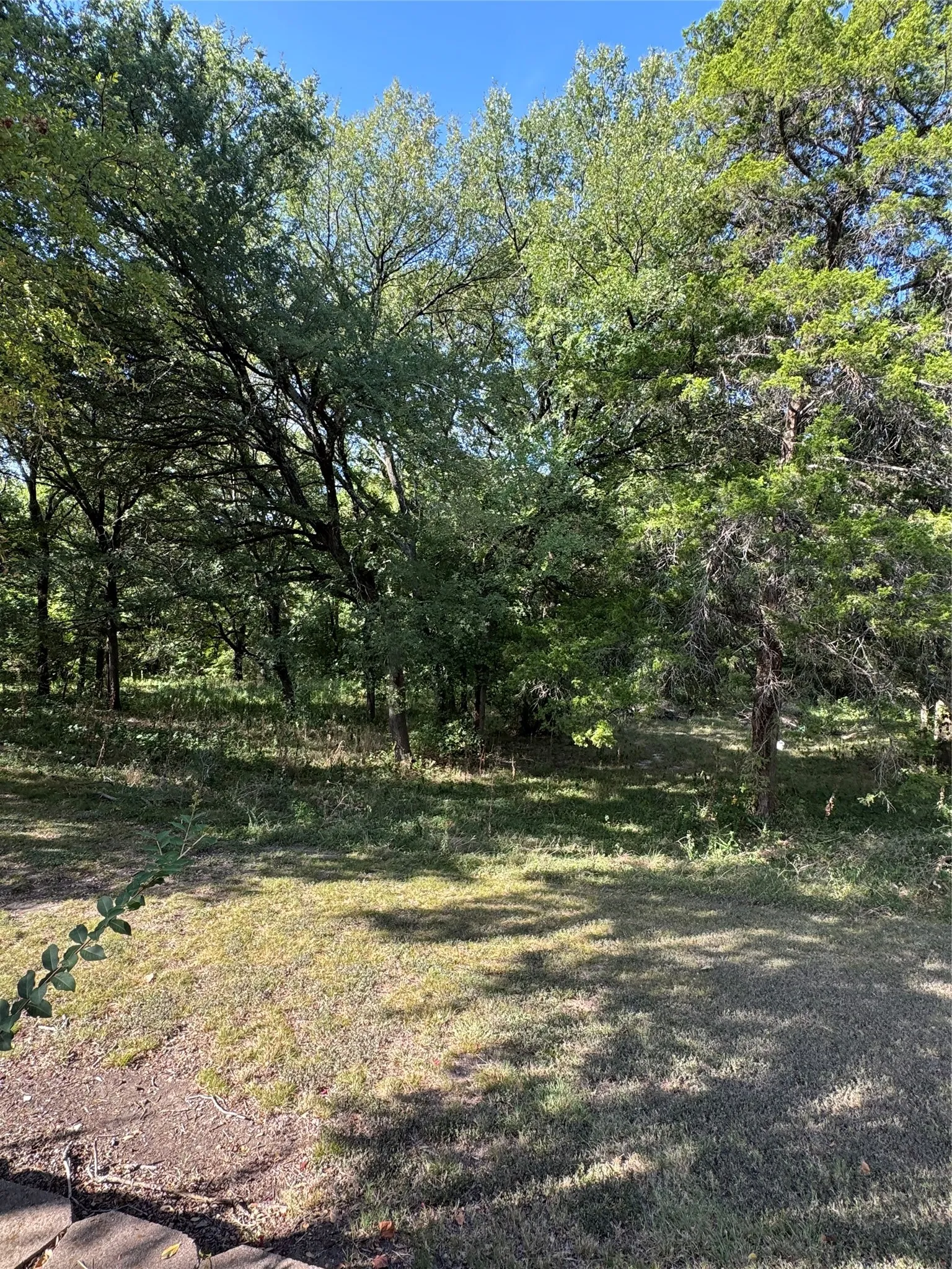 10 wooded acres with a dry creek.