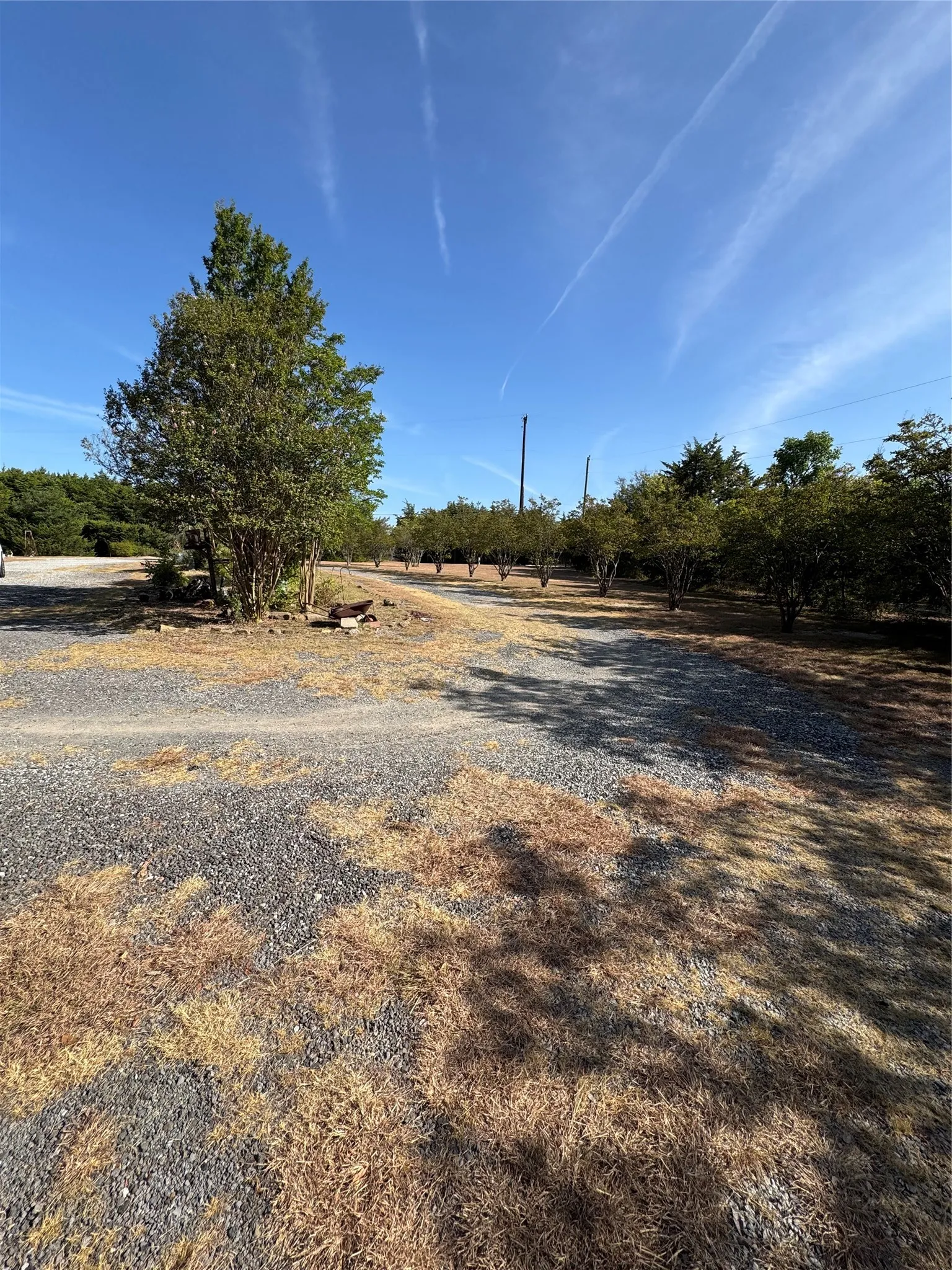 Circular Drive facing out toward Shiloh Rd.