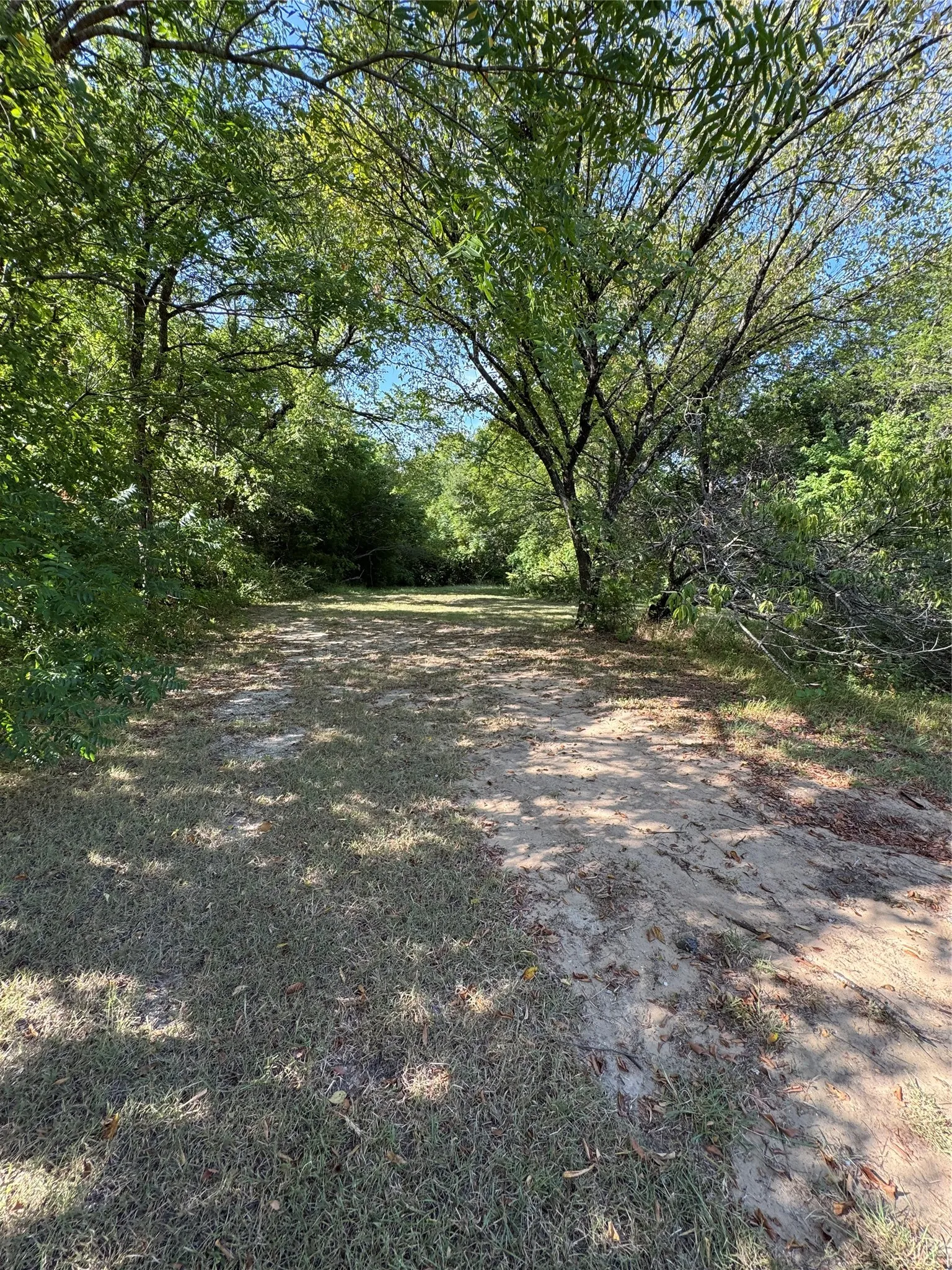 Pathway leading into the woods of this 10 acres.