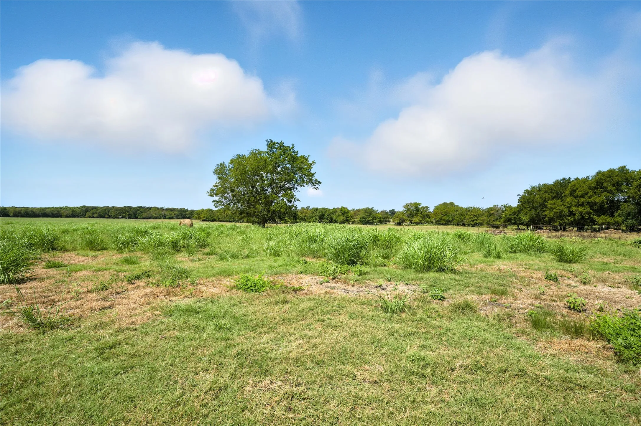 Unimproved Land For Sale in Delta County , 9620 Farm Market 895, Lake Creek, Texas 75450, 0, 0, Garage spaces, 0 Sqft, built in 1920, Price $700,000, mls#21364182, Real Estate Agent in Lake Creek, Homes For Sale in Delta county, Homes For Sale in Lake Creek, Realtor in Lake Creek Texas, Real Estate Brokerage Independent Realty Texas, Luminita Cordes Realtor