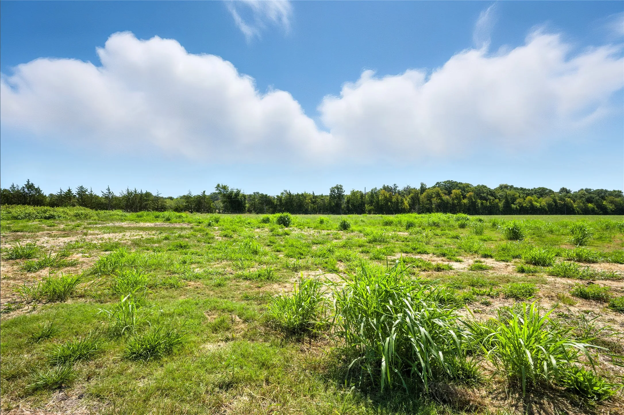 Unimproved Land For Sale in Delta County , 9620 Farm Market 895, Lake Creek, Texas 75450, 0, 0, Garage spaces, 0 Sqft, built in 1920, Price $700,000, mls#21364182, Real Estate Agent in Lake Creek, Homes For Sale in Delta county, Homes For Sale in Lake Creek, Realtor in Lake Creek Texas, Real Estate Brokerage Independent Realty Texas, Luminita Cordes Realtor
