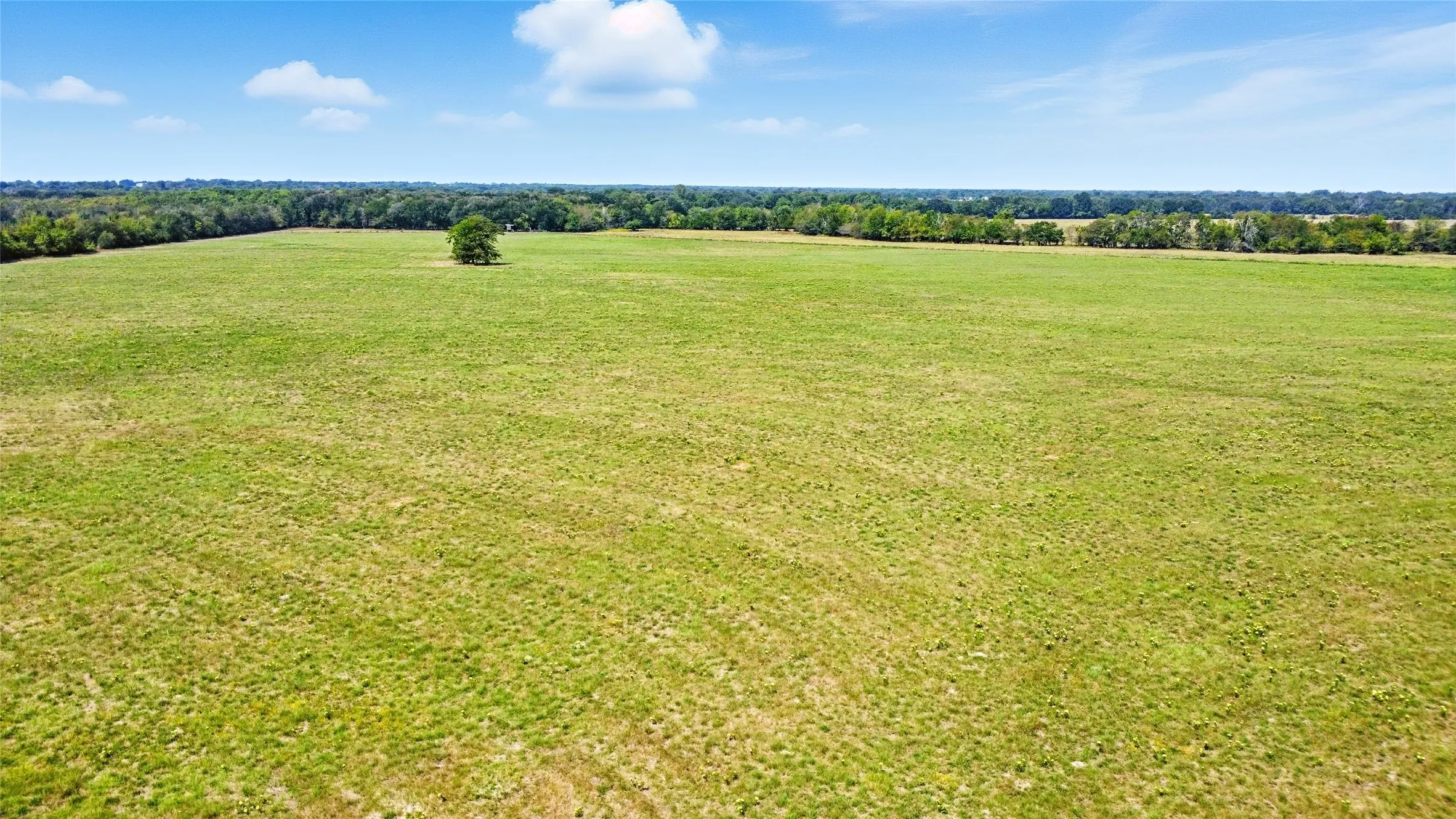 Unimproved Land For Sale in Delta County , 9620 Farm Market 895, Lake Creek, Texas 75450, 0, 0, Garage spaces, 0 Sqft, built in 1920, Price $700,000, mls#21364182, Real Estate Agent in Lake Creek, Homes For Sale in Delta county, Homes For Sale in Lake Creek, Realtor in Lake Creek Texas, Real Estate Brokerage Independent Realty Texas, Luminita Cordes Realtor