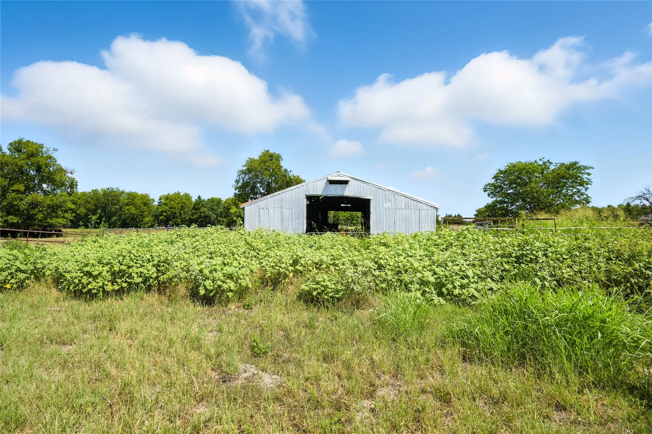Unimproved Land For Sale in Delta County , 9620 Farm Market 895, Lake Creek, Texas 75450, 0, 0, Garage spaces, 0 Sqft, built in 1920, Price $700,000, mls#21364182, Real Estate Agent in Lake Creek, Homes For Sale in Delta county, Homes For Sale in Lake Creek, Realtor in Lake Creek Texas, Real Estate Brokerage Independent Realty Texas, Luminita Cordes Realtor