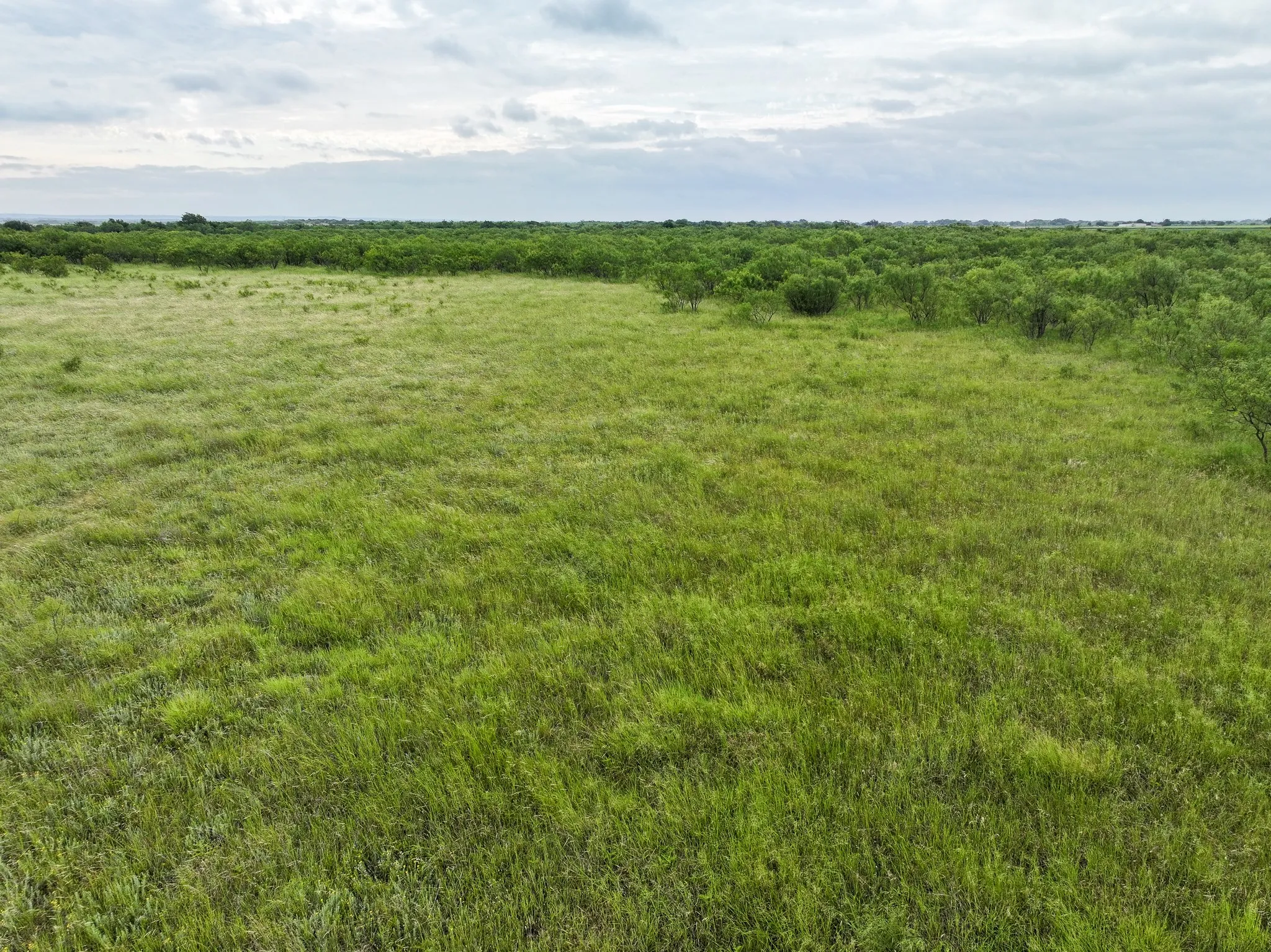 Unimproved Land For Sale in Taylor County , 189 Badger Den, Tuscola, Texas 79562, 0, 0, Garage spaces, 0 Sqft, built in 0, mls#21364214, Real Estate Agent in Tuscola, Homes For Sale in Taylor county, Homes For Sale in Tuscola, Realtor in Tuscola Texas, Real Estate Brokerage Independent Realty Texas, Luminita Cordes Realtor
