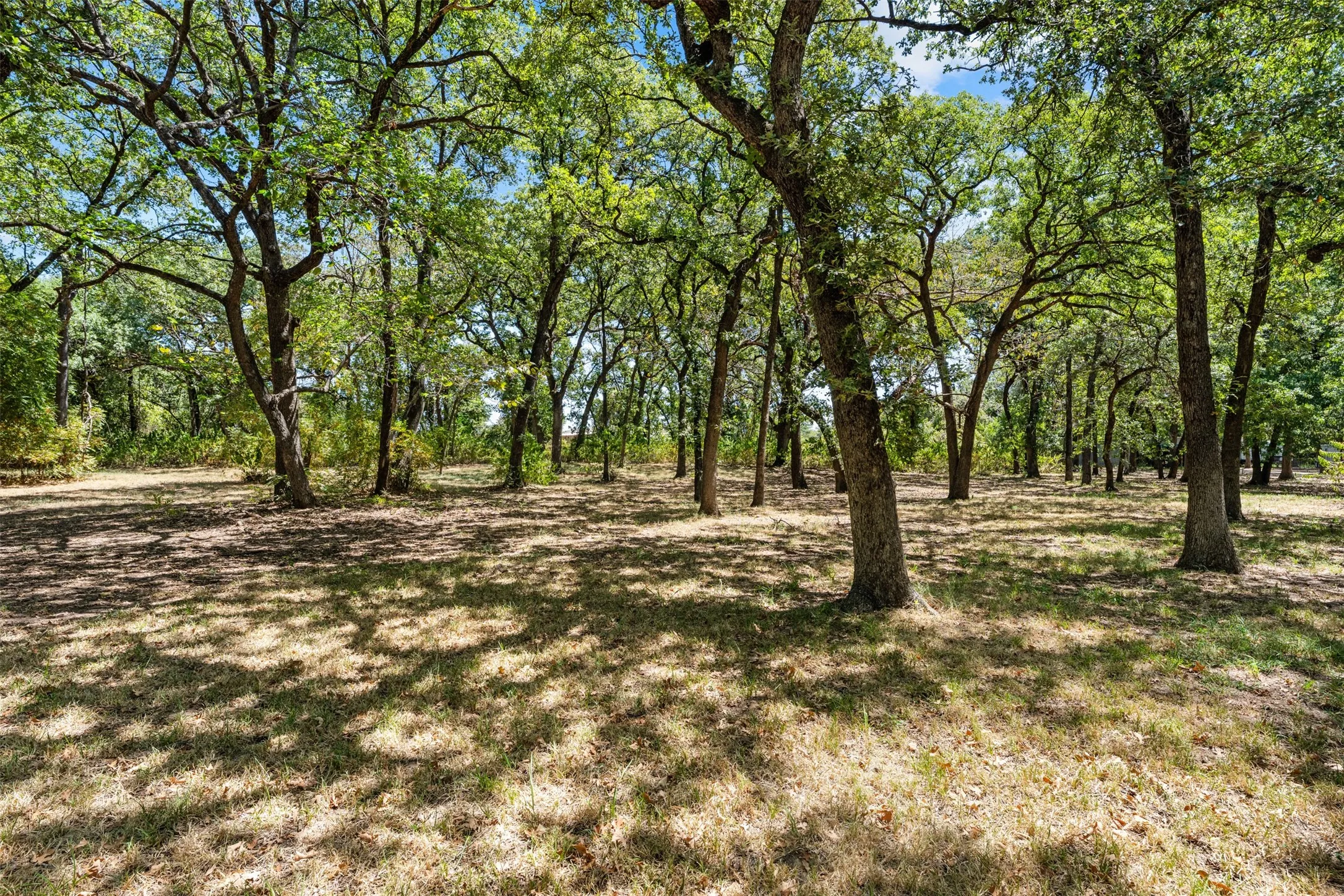 Single Family Residence For Sale in Mc Lennan County , 342 Oak Drive, Waco, Texas 76705, 3 Bedroom, 2 Bathroom, 2 Garage spaces, 1,492 Sqft, built in 1991, mls#21361966, Real Estate Agent in Waco, Homes For Sale in Mc Lennan county, Homes For Sale in Waco, Realtor in Waco Texas, Real Estate Brokerage Independent Realty Texas, Luminita Cordes Realtor