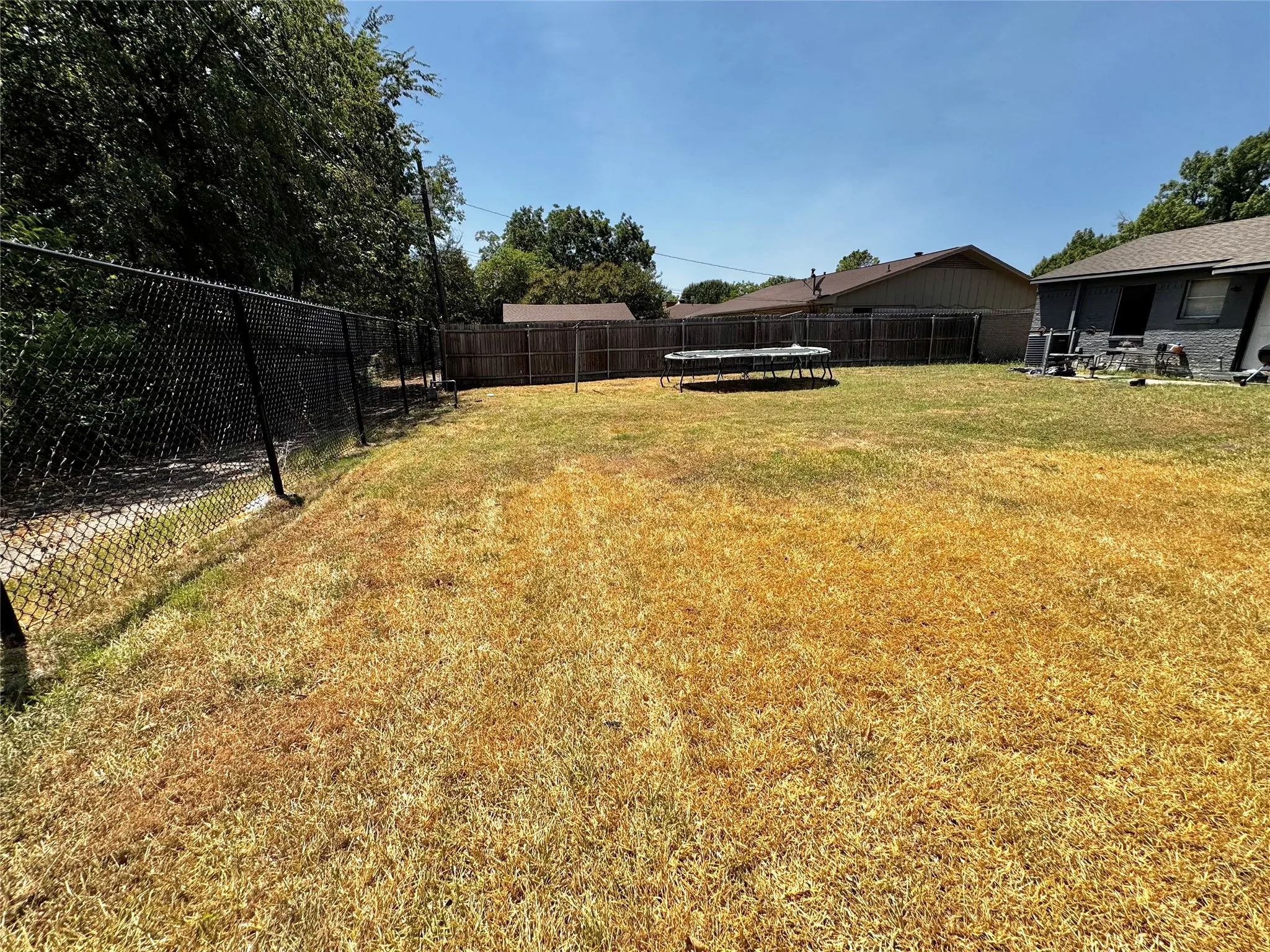 Backyard