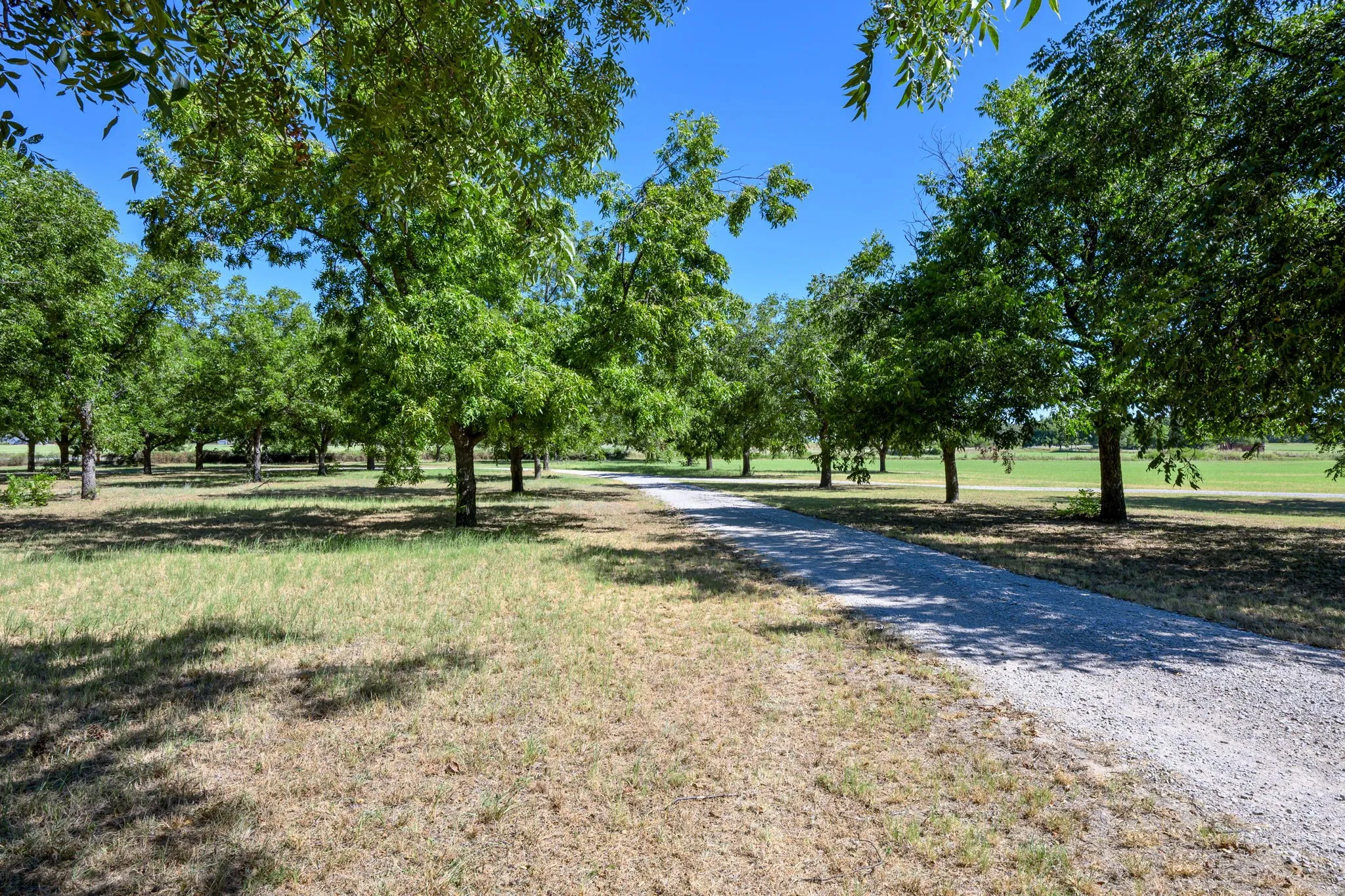 Farm For Sale in Comanche County , 5787 HWY 377/67 Highway, Comanche, Texas 76442, 4 Bedroom, 4 Bathroom, Garage spaces, 3,223 Sqft, built in 2021, Price $925,000, mls#21363905, Real Estate Agent in Comanche, Homes For Sale in Comanche county, Homes For Sale in Comanche, Realtor in Comanche Texas, Real Estate Brokerage Independent Realty Texas, Luminita Cordes Realtor