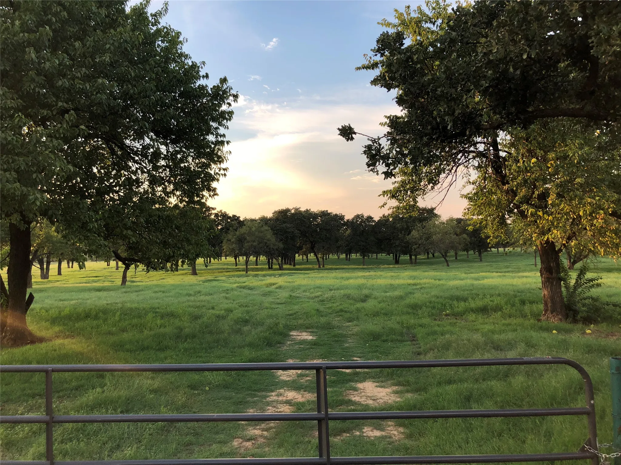 Unimproved Land For Sale in Johnson County , 537 Edgewood Lane, Cleburne, Texas 76031, 0, 0, Garage spaces, 0 Sqft, built in 0, Price $1,100,000, mls#21364256, Real Estate Agent in Cleburne, Homes For Sale in Johnson county, Homes For Sale in Cleburne, Realtor in Cleburne Texas, Real Estate Brokerage Independent Realty Texas, Luminita Cordes Realtor