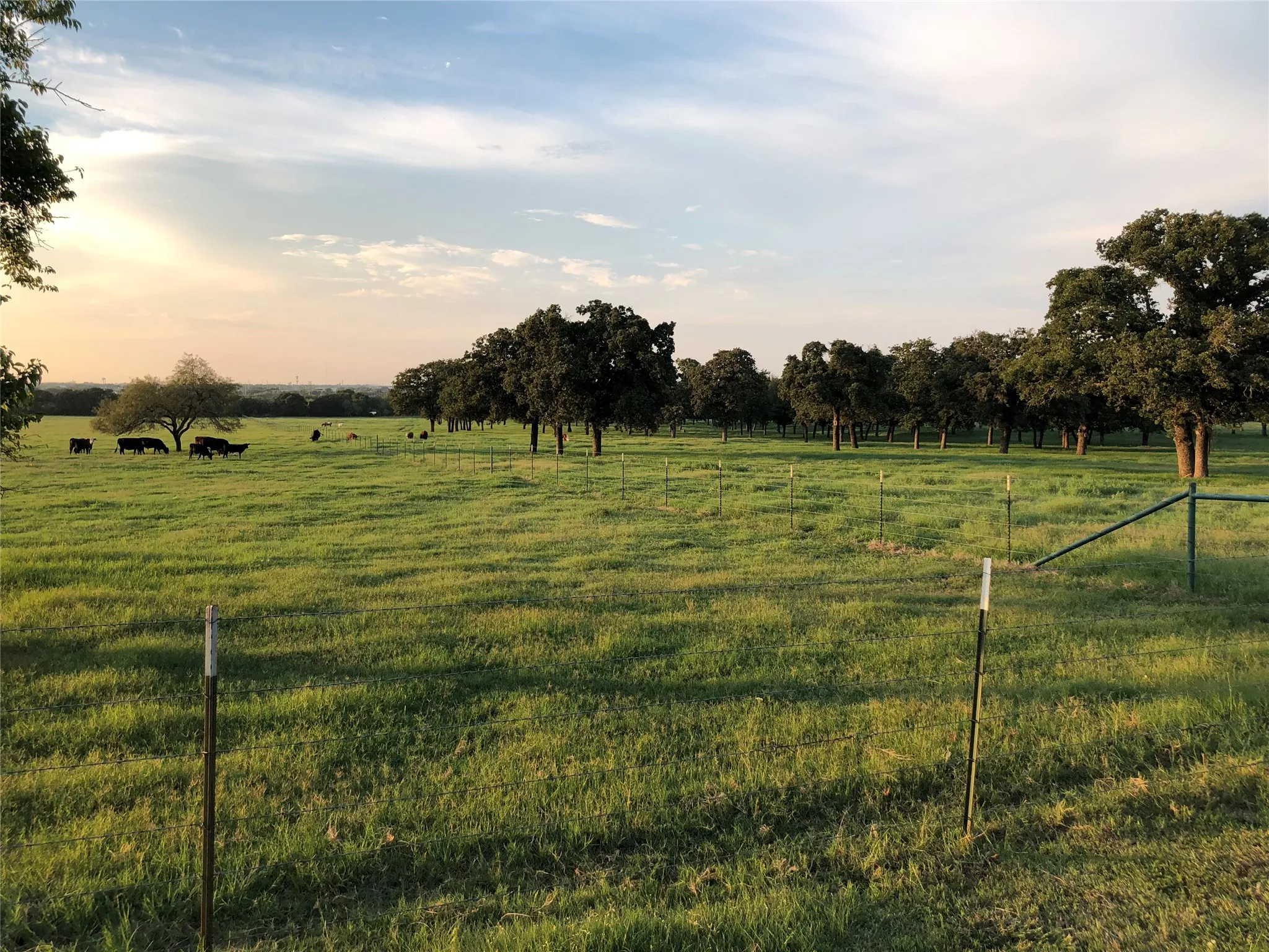 Unimproved Land For Sale in Johnson County , 537 Edgewood Lane, Cleburne, Texas 76031, 0, 0, Garage spaces, 0 Sqft, built in 0, Price $1,100,000, mls#21364256, Real Estate Agent in Cleburne, Homes For Sale in Johnson county, Homes For Sale in Cleburne, Realtor in Cleburne Texas, Real Estate Brokerage Independent Realty Texas, Luminita Cordes Realtor