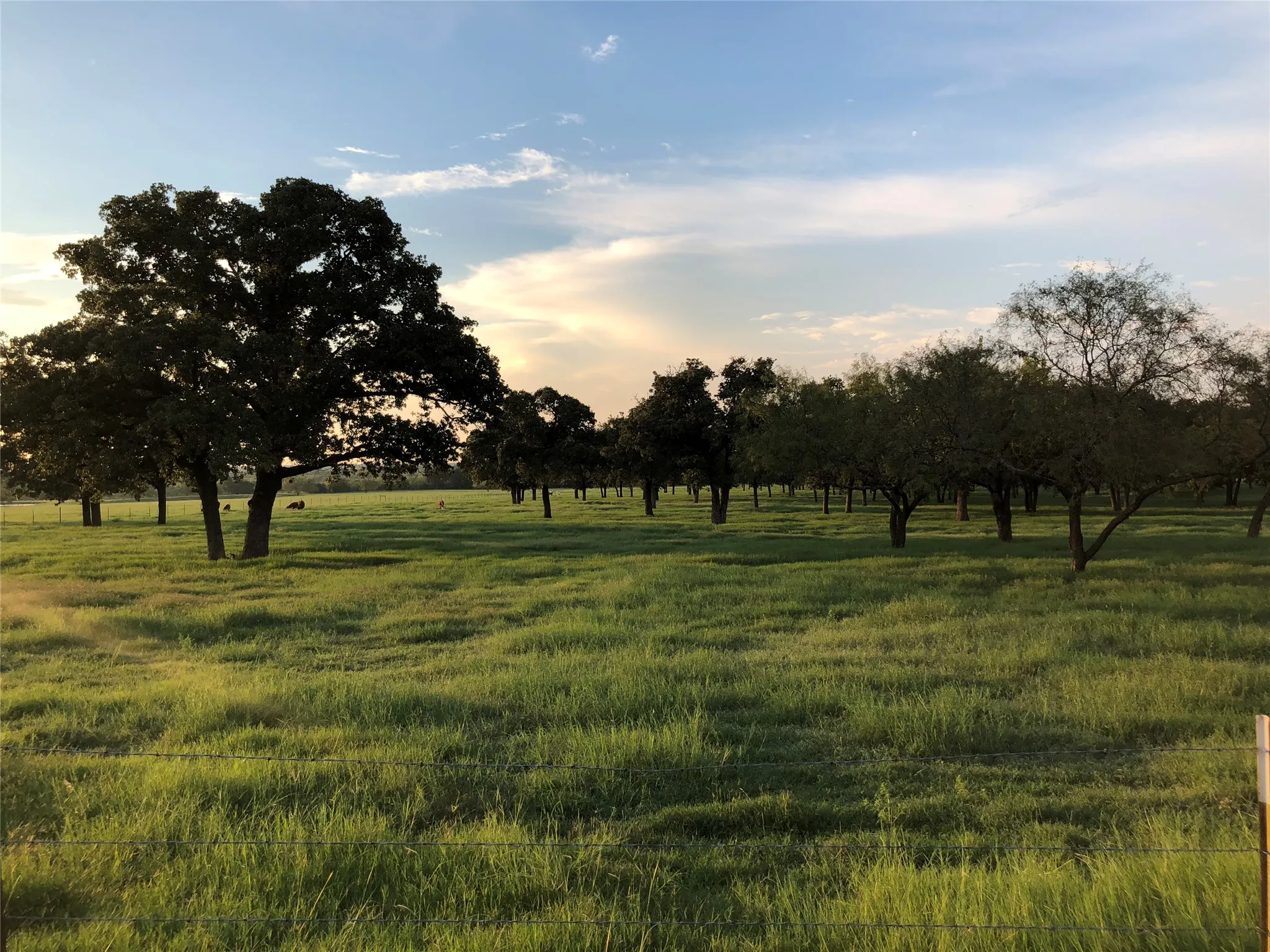 Unimproved Land For Sale in Johnson County , 537 Edgewood Lane, Cleburne, Texas 76031, 0, 0, Garage spaces, 0 Sqft, built in 0, Price $1,100,000, mls#21364256, Real Estate Agent in Cleburne, Homes For Sale in Johnson county, Homes For Sale in Cleburne, Realtor in Cleburne Texas, Real Estate Brokerage Independent Realty Texas, Luminita Cordes Realtor