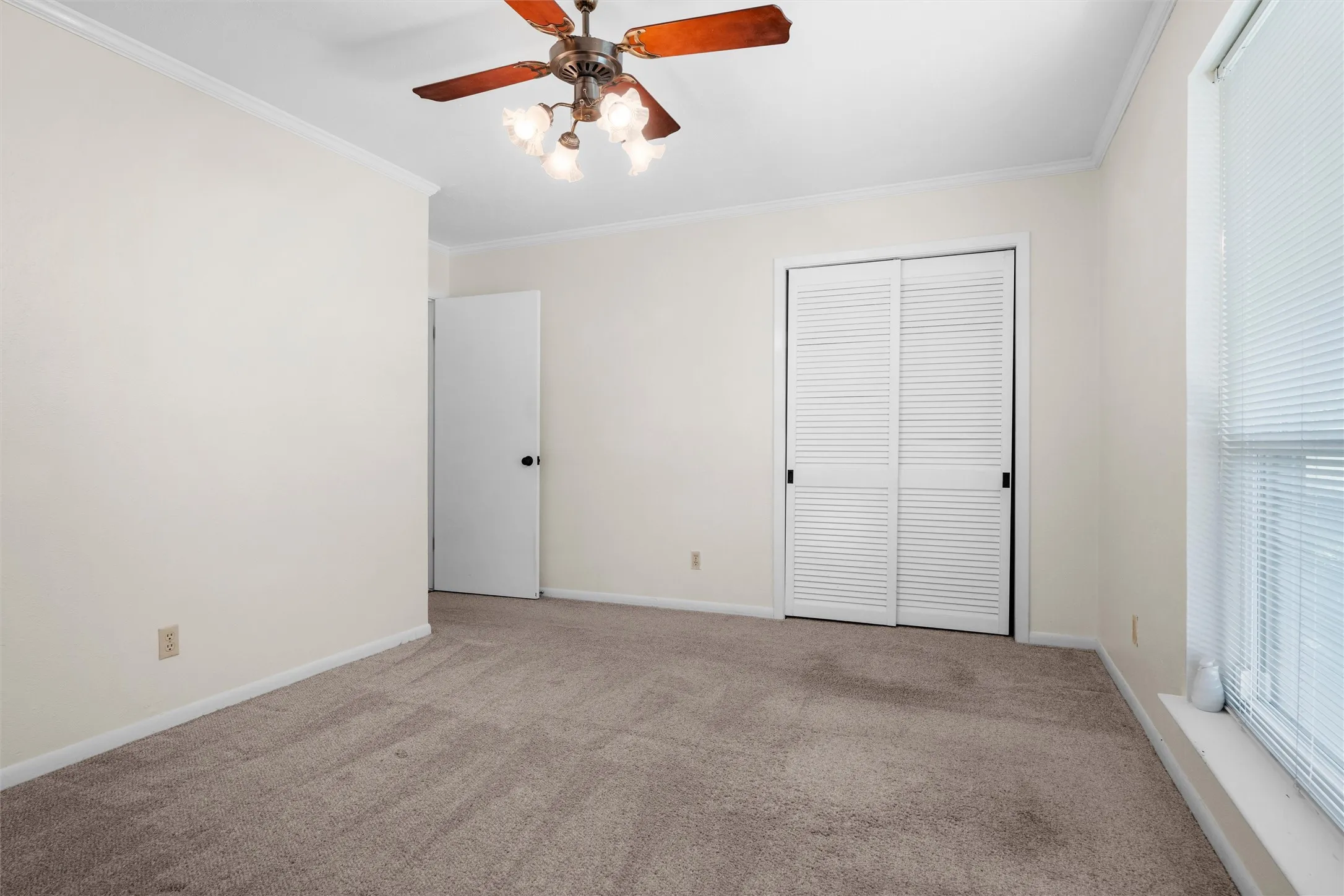 Plush carpet flooring, ceiling fan with light fixture, louvered bi-fold closet doors, white trim, and a window with blinds