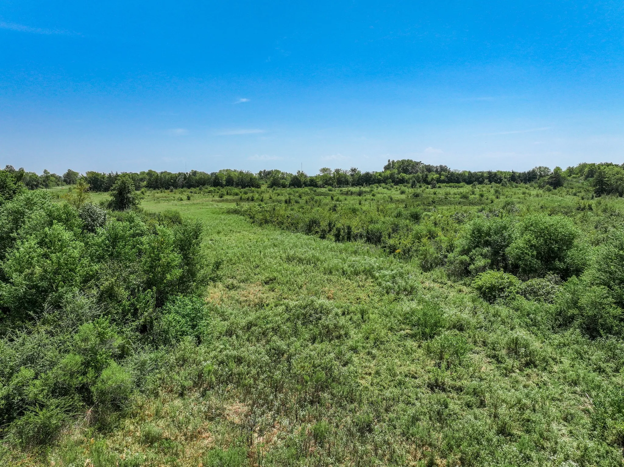 Expansive natural landscape with varied green foliage and clear skies