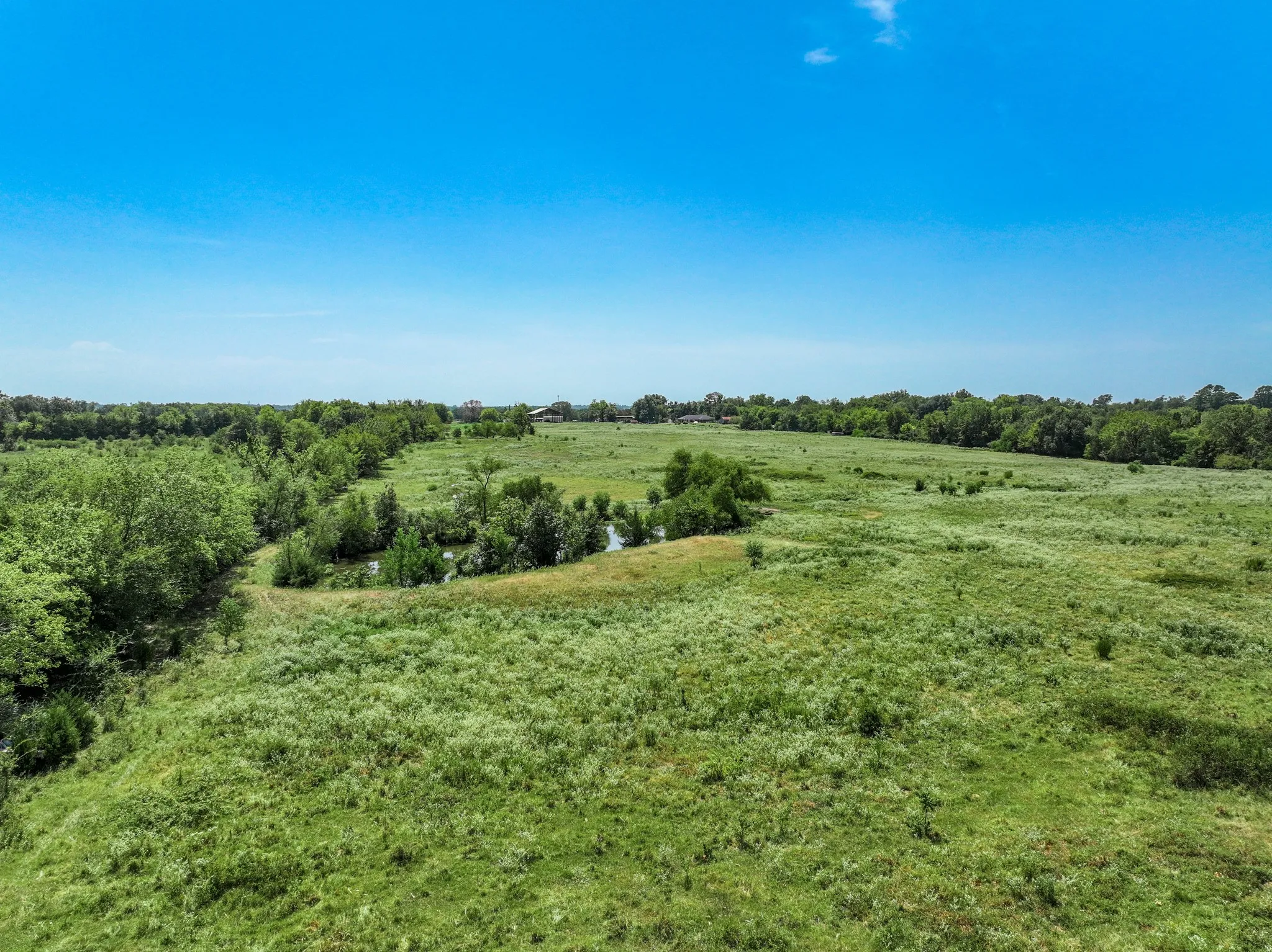 Expansive green field featuring varied foliage and a natural water body