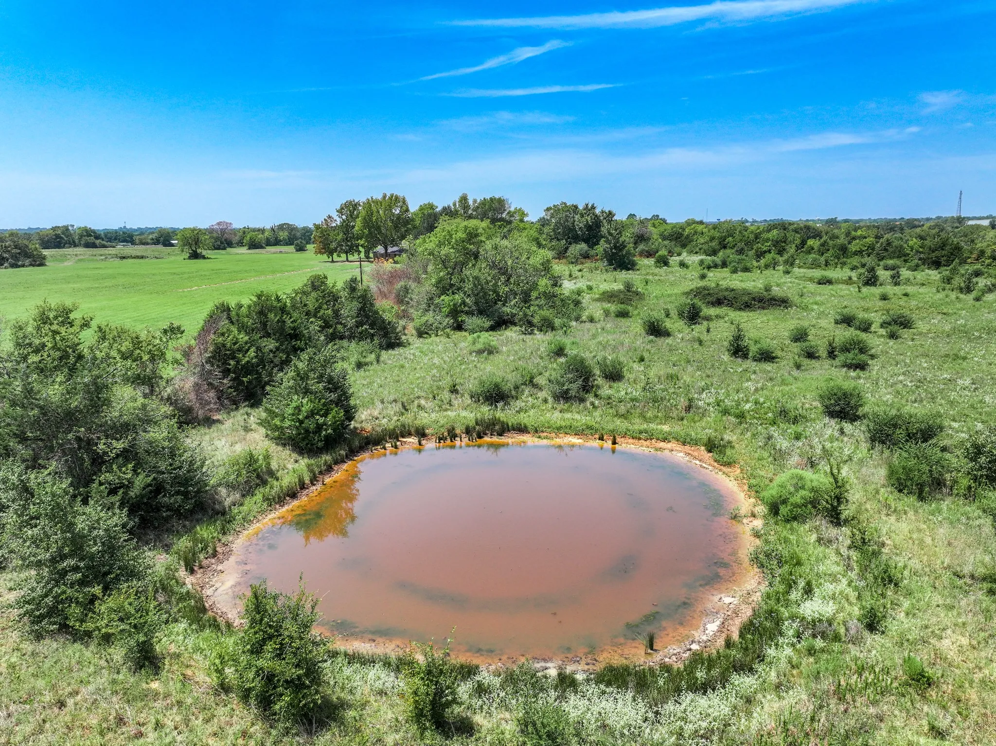 Natural pond surrounded by varied green foliage